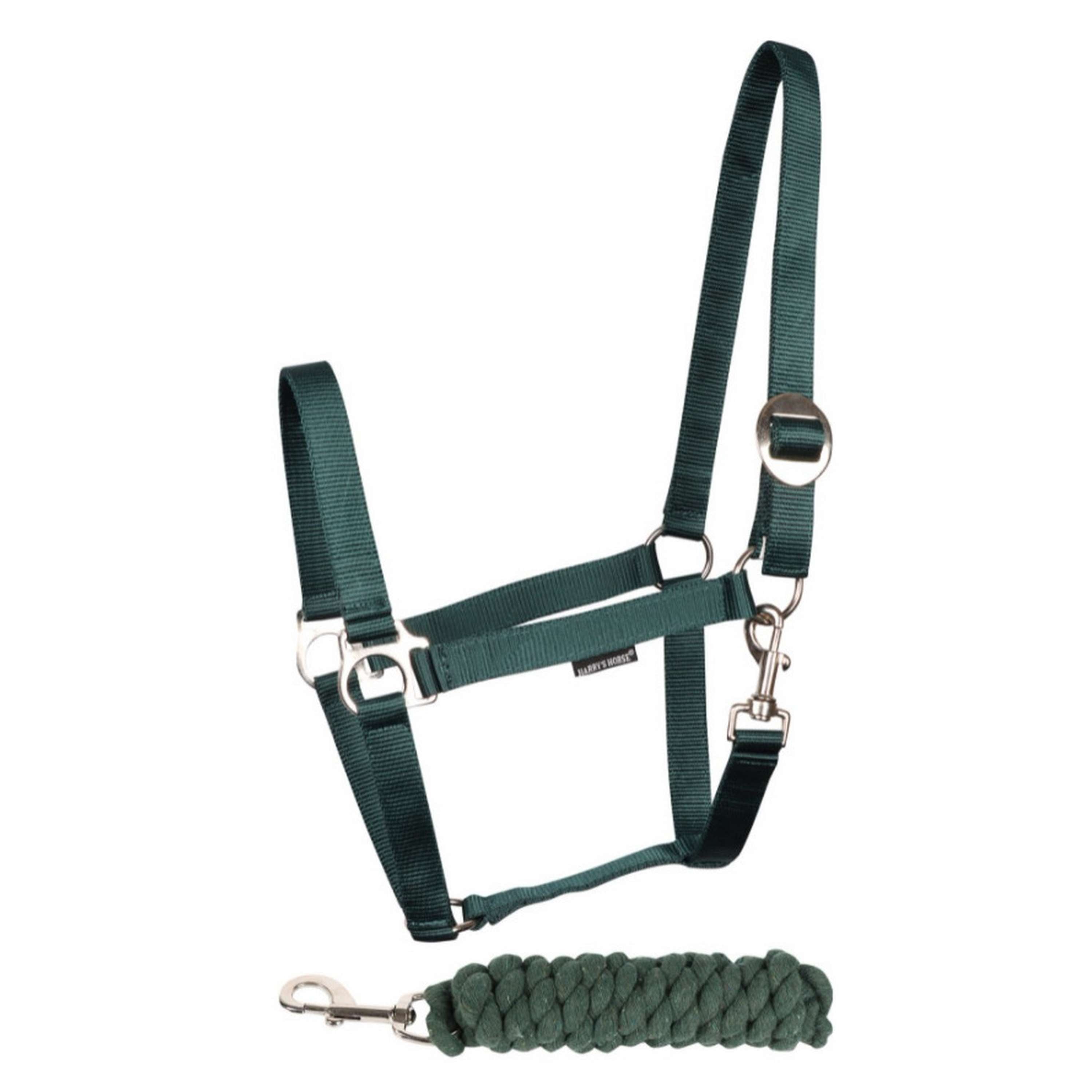 Harry's Horse Ensemble Licol Initial Vert