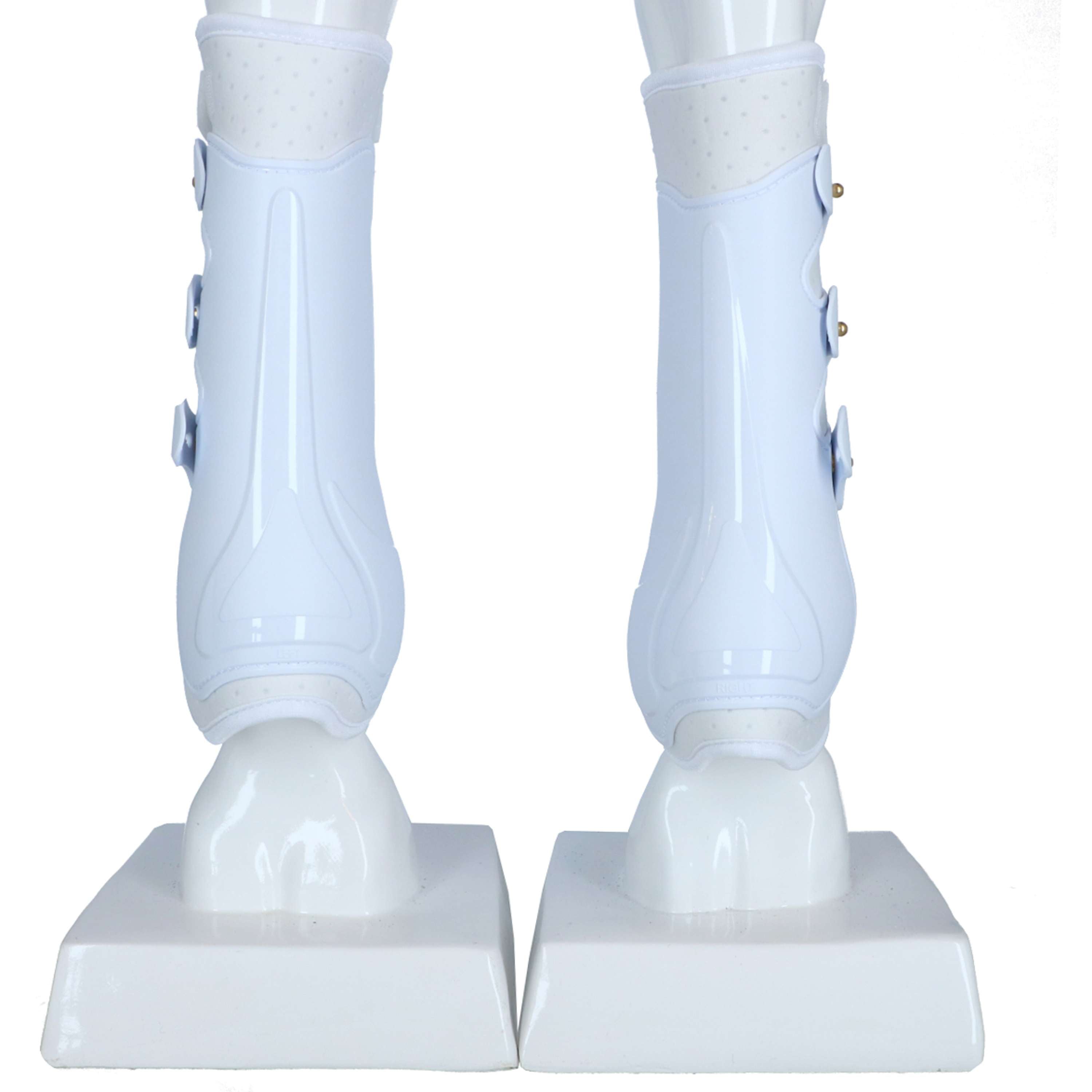 Harry's Horse Guêtres tendineuses Grand Prix Arrière Blanc