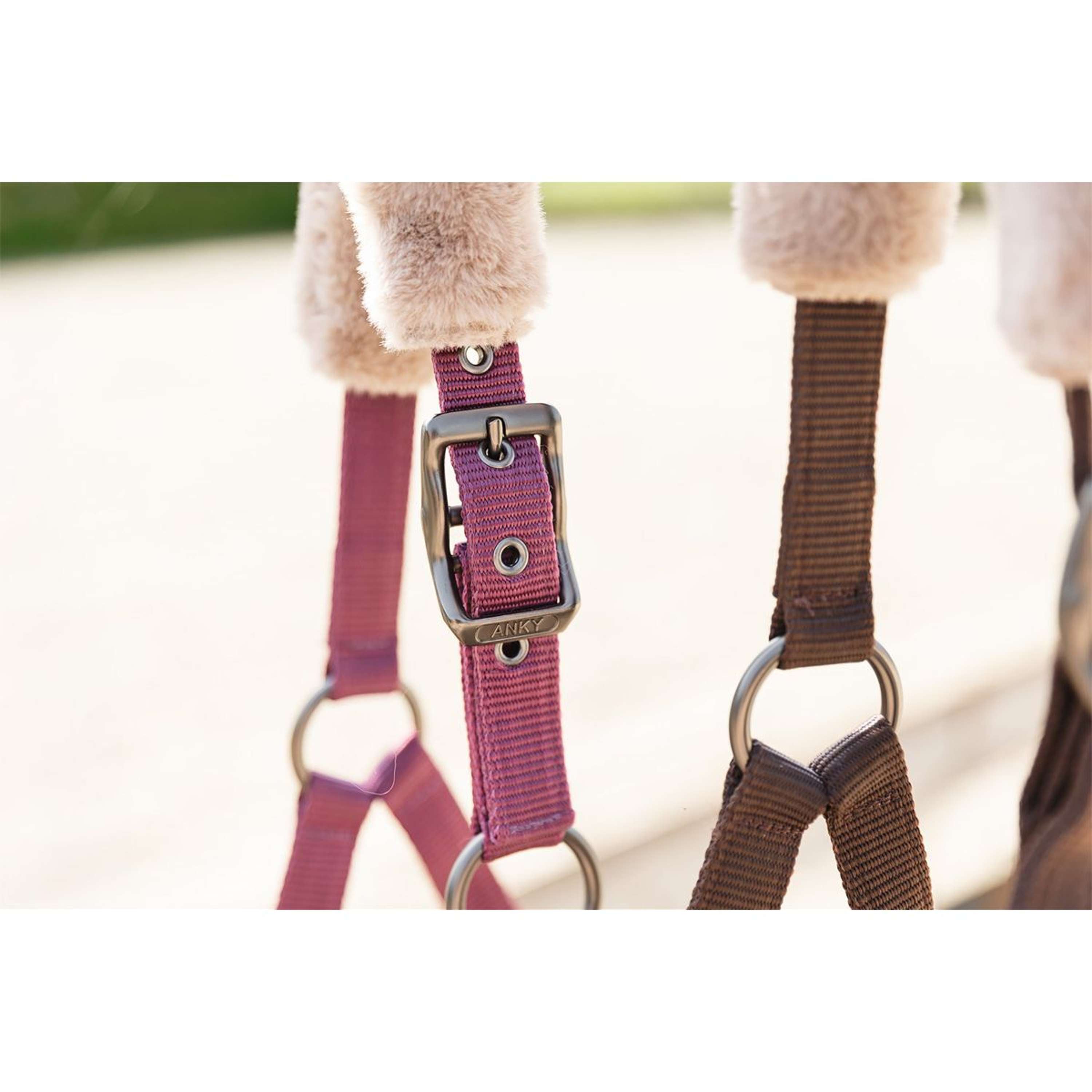 ANKY Ensemble Licol Check Velvet ATH25002 Mellow Mauve