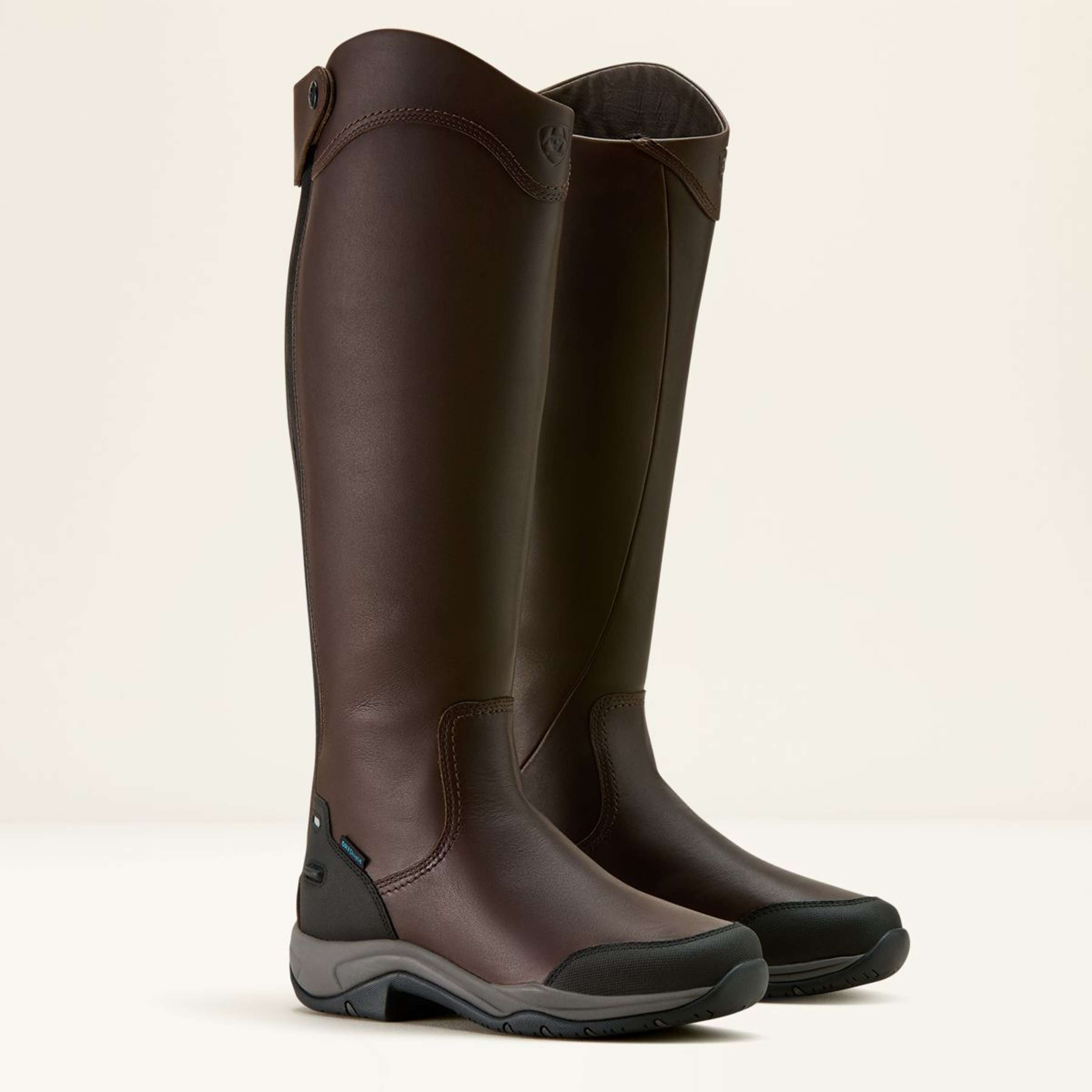 Ariat Bottes d'Équitation Telluride Tall H2O Marron foncé