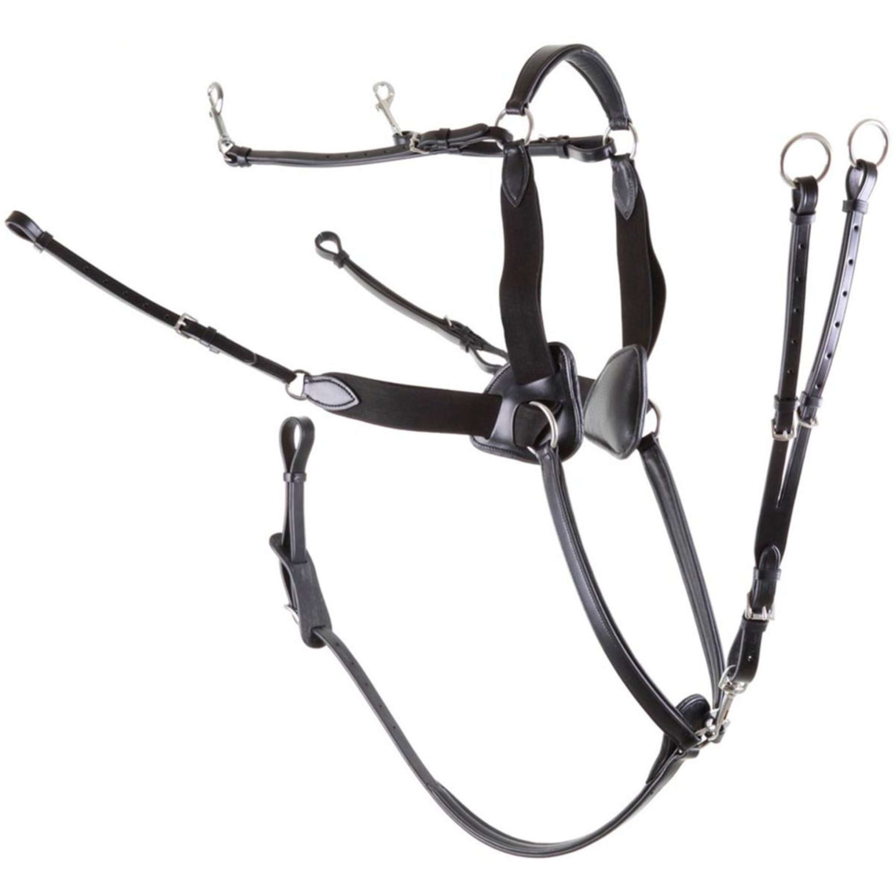 Premiere Collier de Chasse 5 Points Élastique Noir