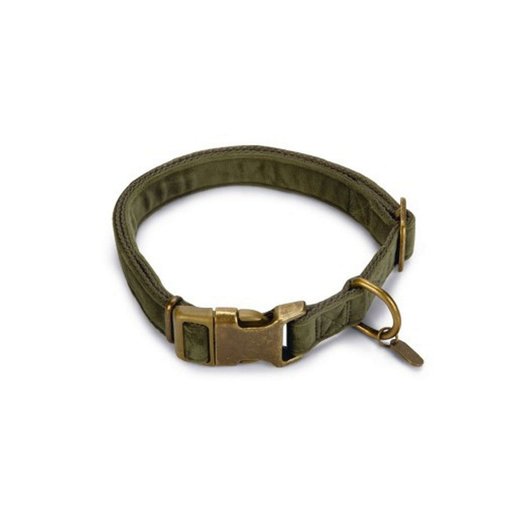 Designed by Lotte Collier pour Chien Velura Velours Vert