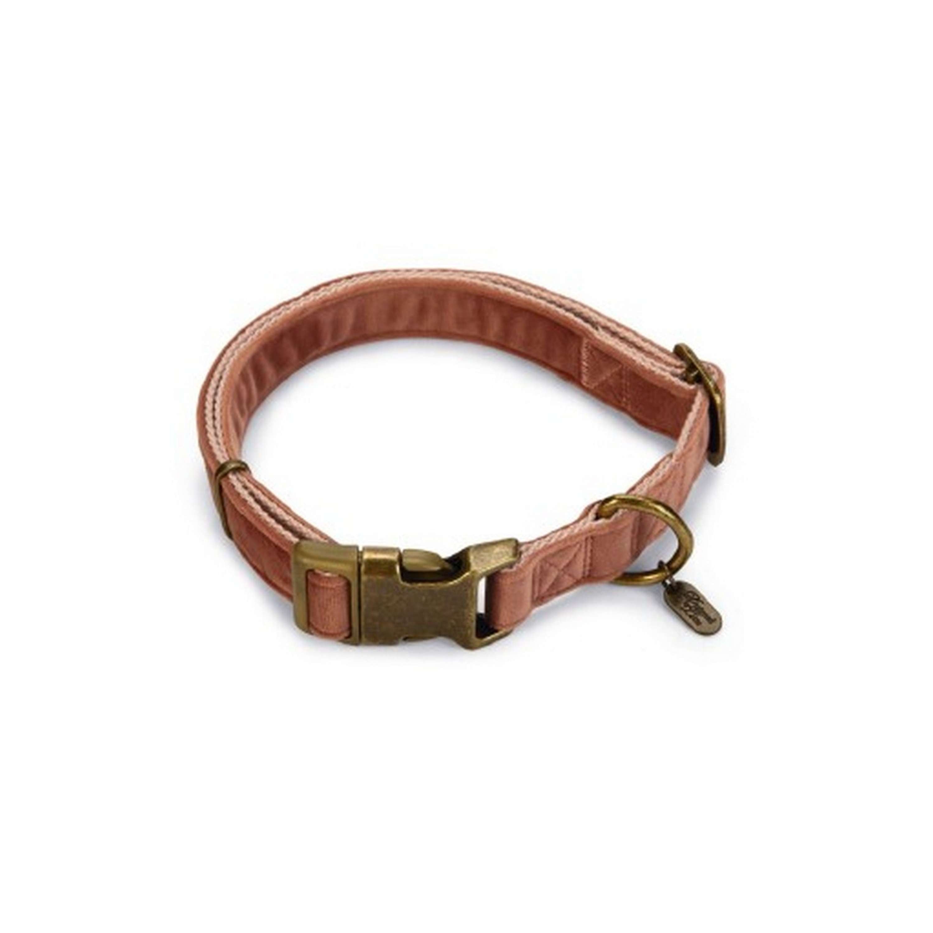 Designed by Lotte Collier pour Chien Velura Velours Rose