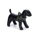 Designed by Lotte Harnais pour Chien Velura Velours Vert