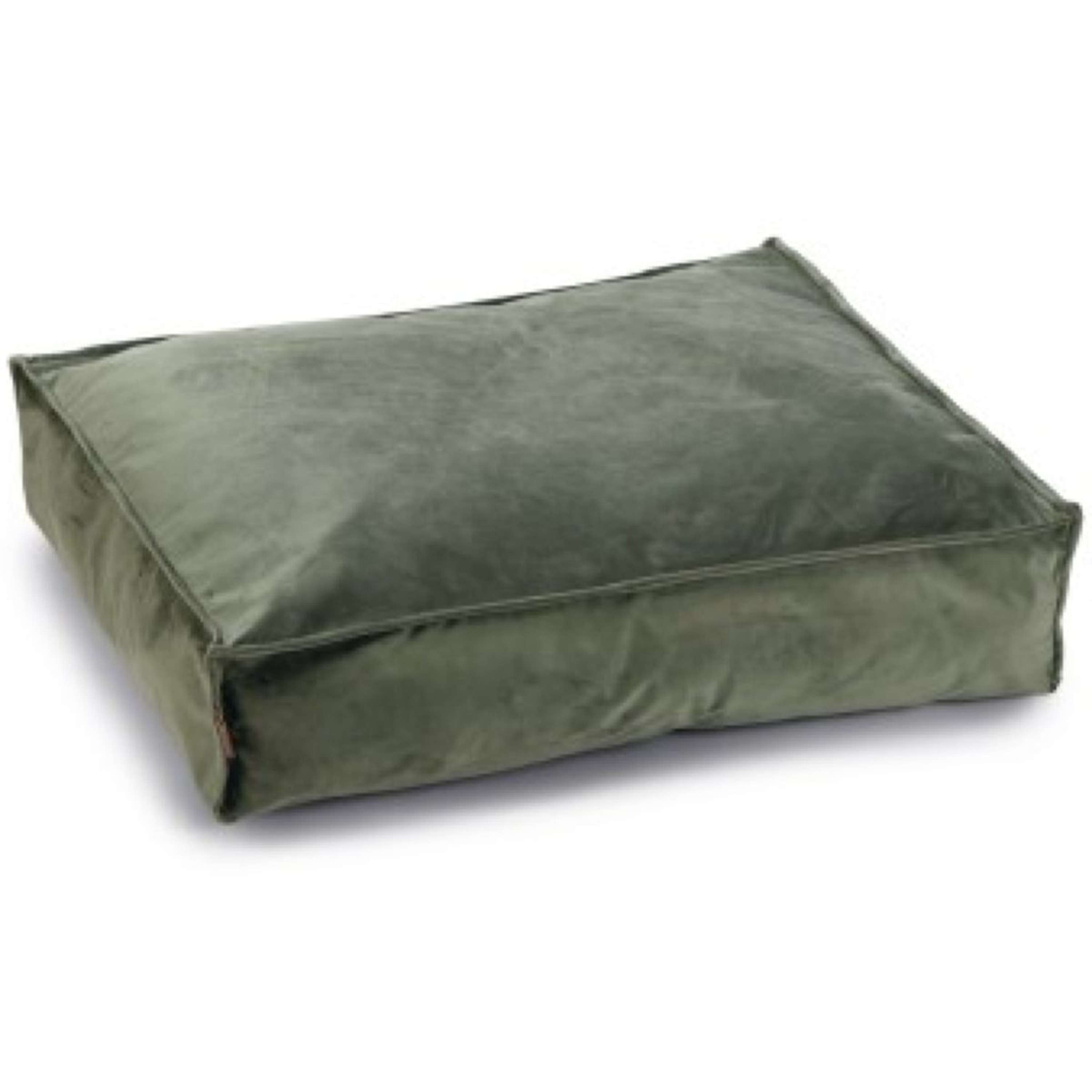 Designed by Lotte Coussin pour Chien Nalino Velours Vert