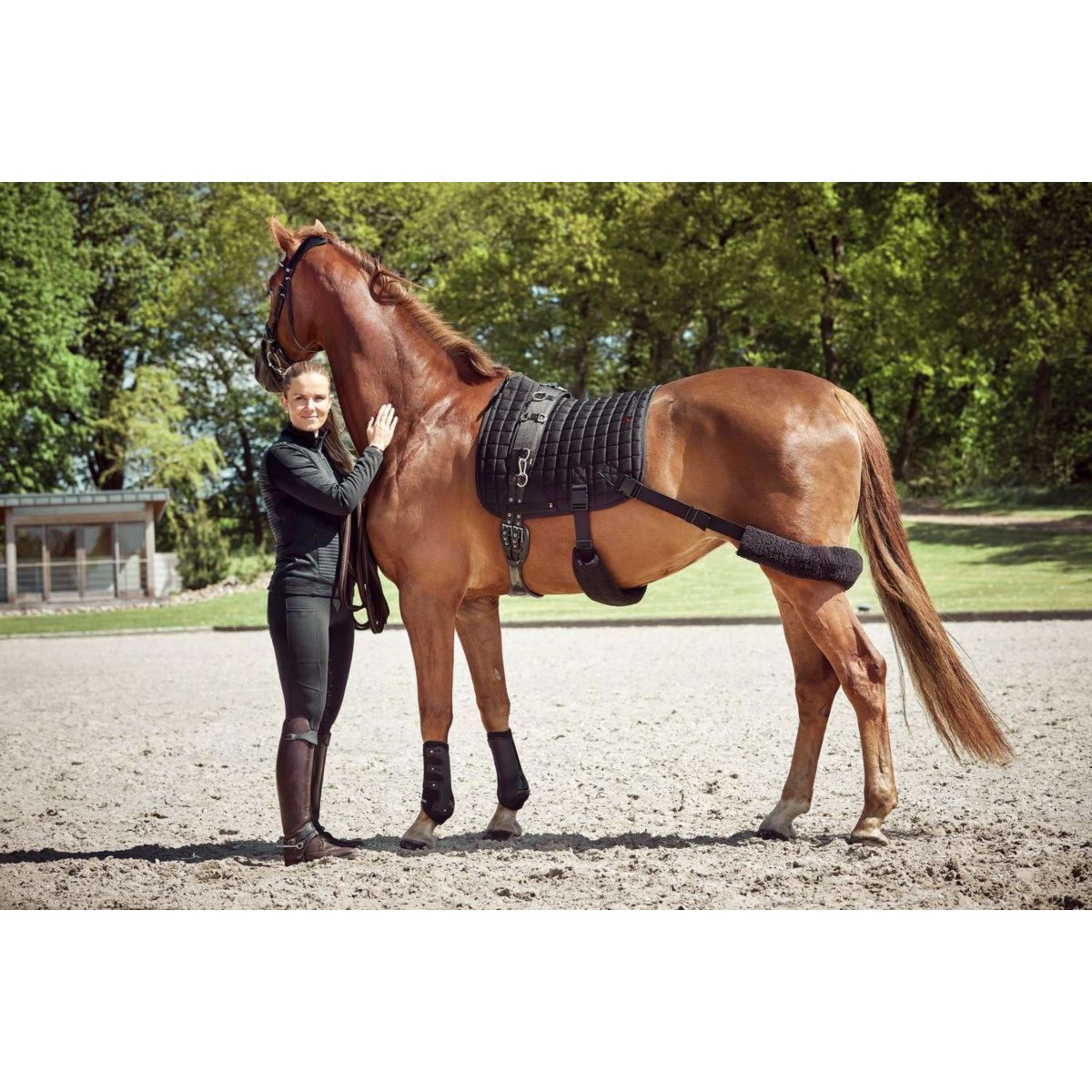 Catago Tapis de Selle FIR-Tech avec Élastique Polyvalent Noir