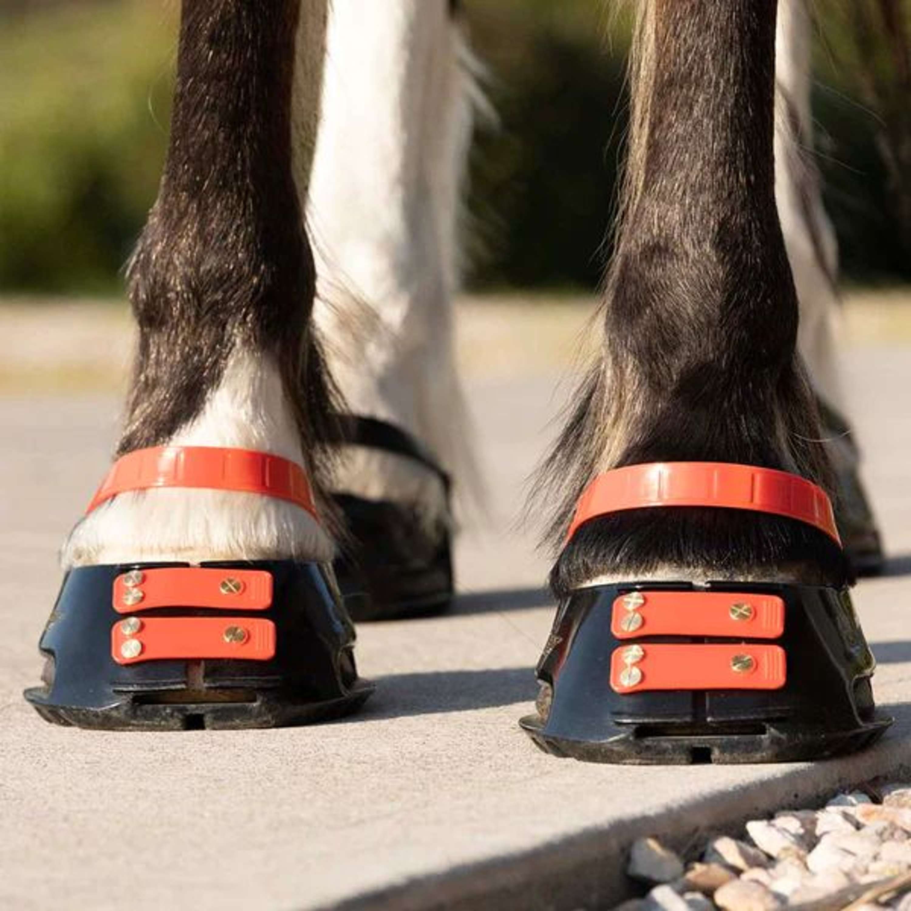 Scoot Boot Pastern Strap Hibiscus