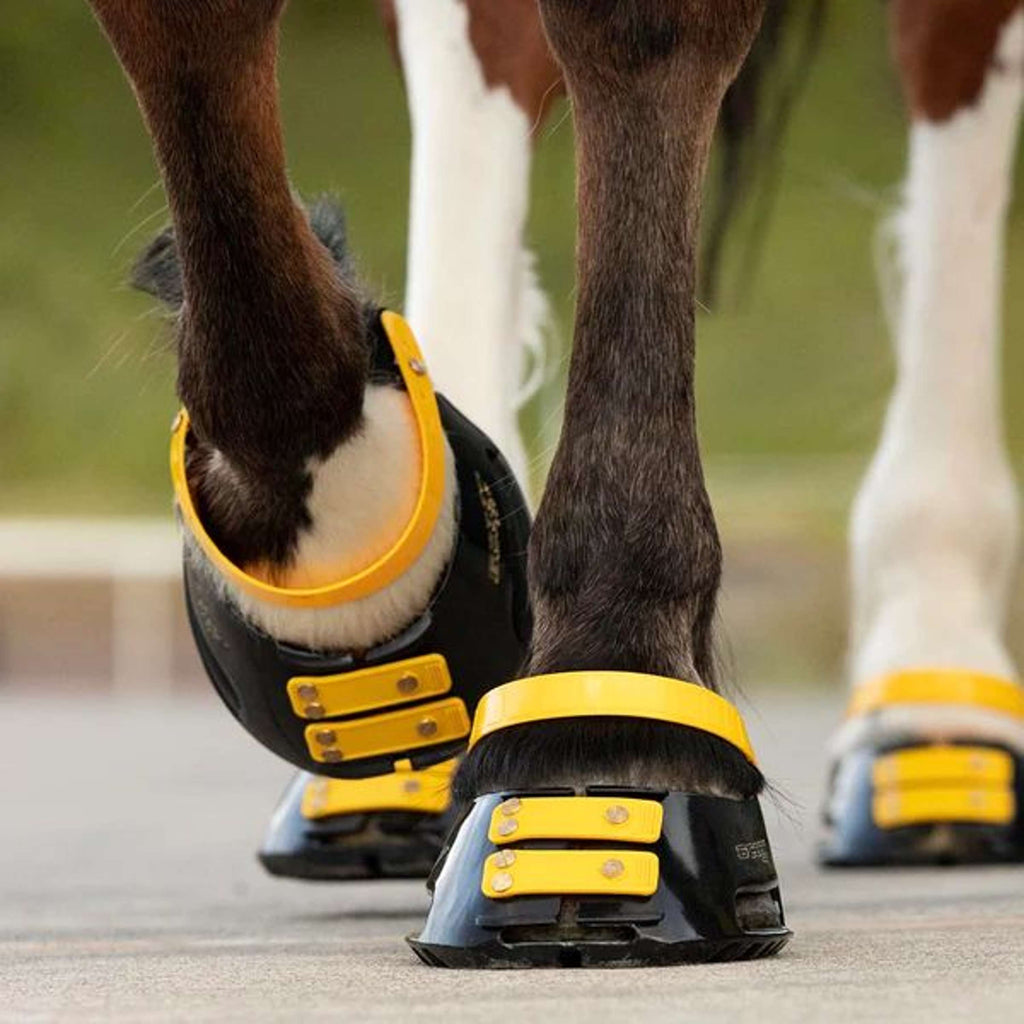 Scoot Boot Pastern Strap Marigold
