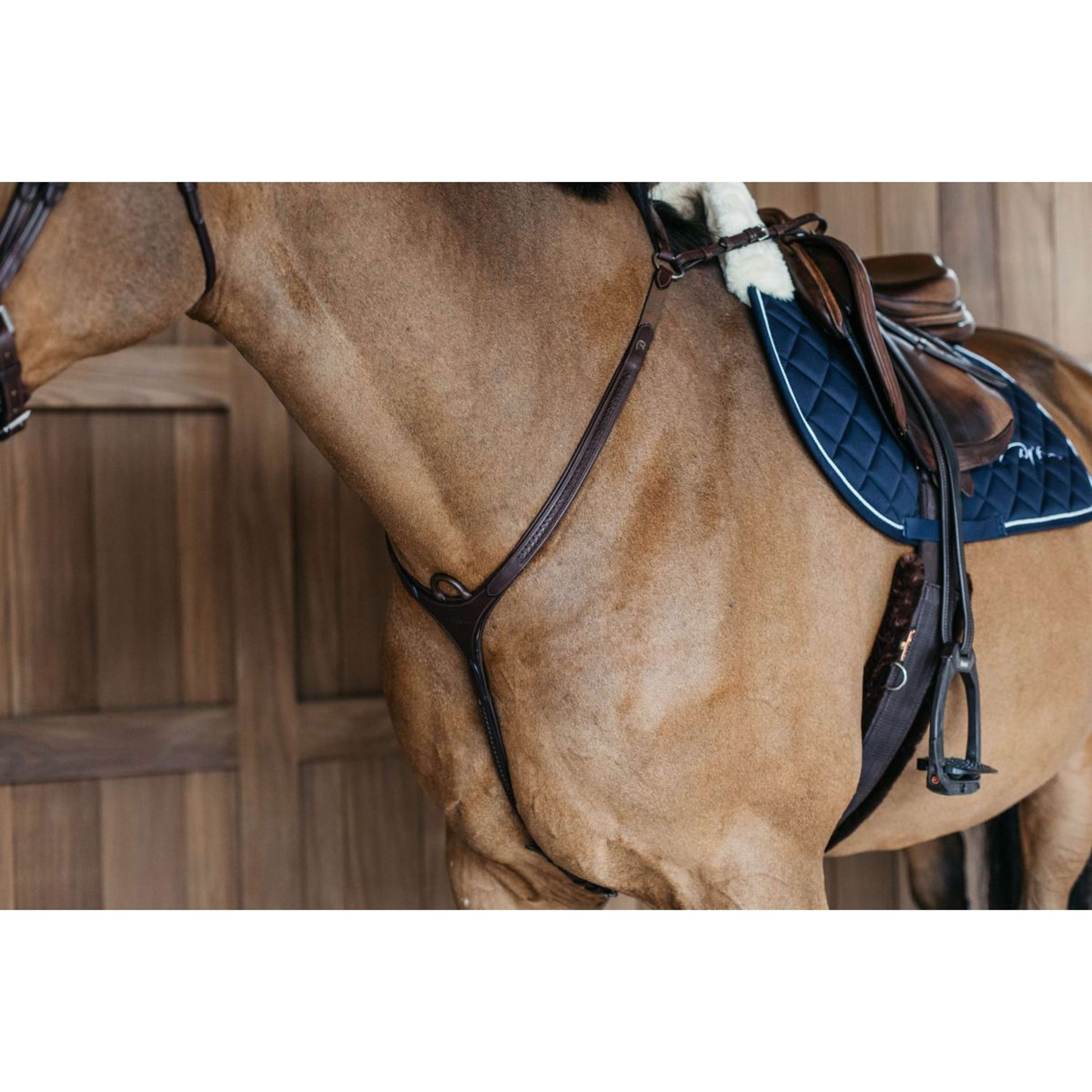 Dyon Collier de Chasse Bridge Tressé Marron
