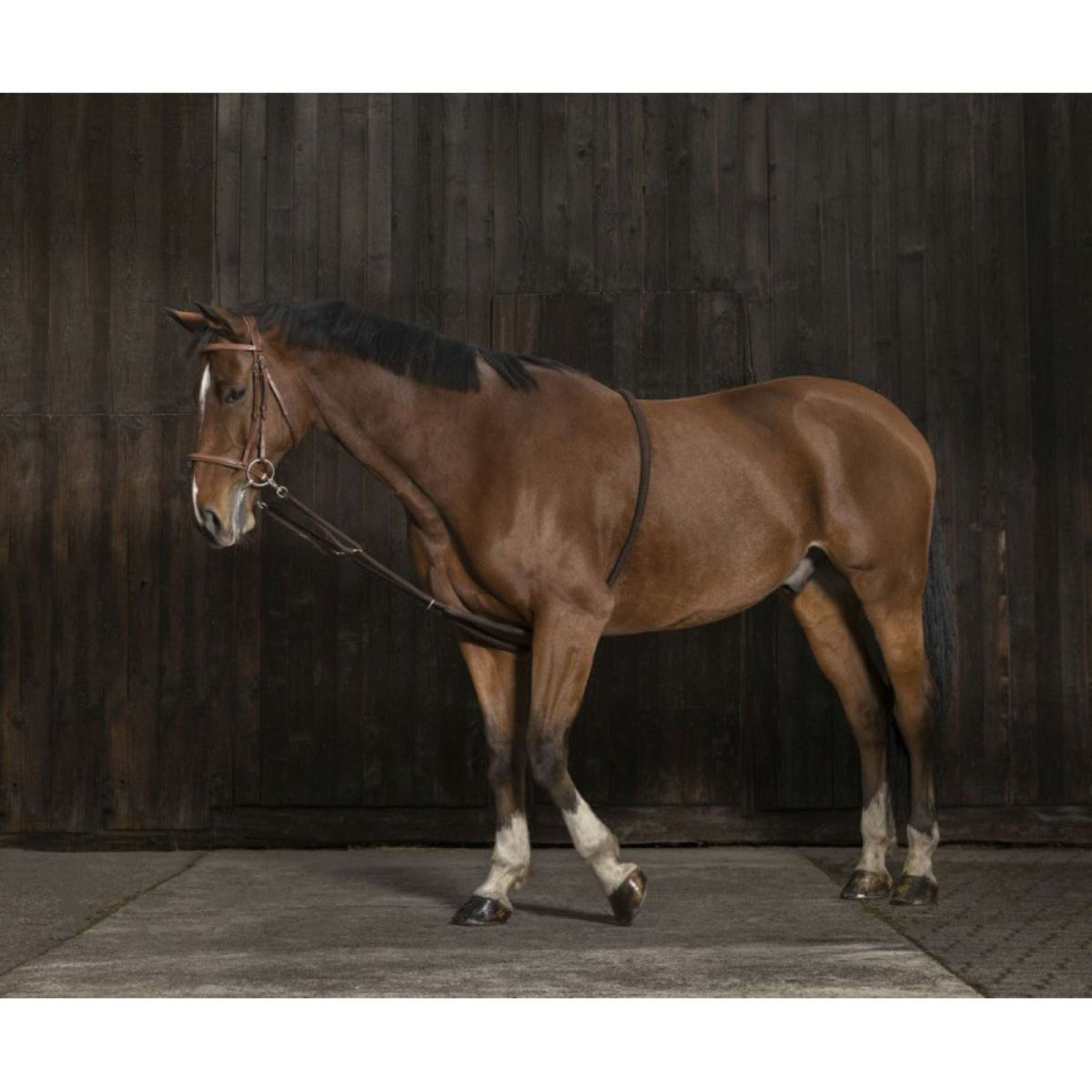 Norton Enrênement Peli Extensible Marron