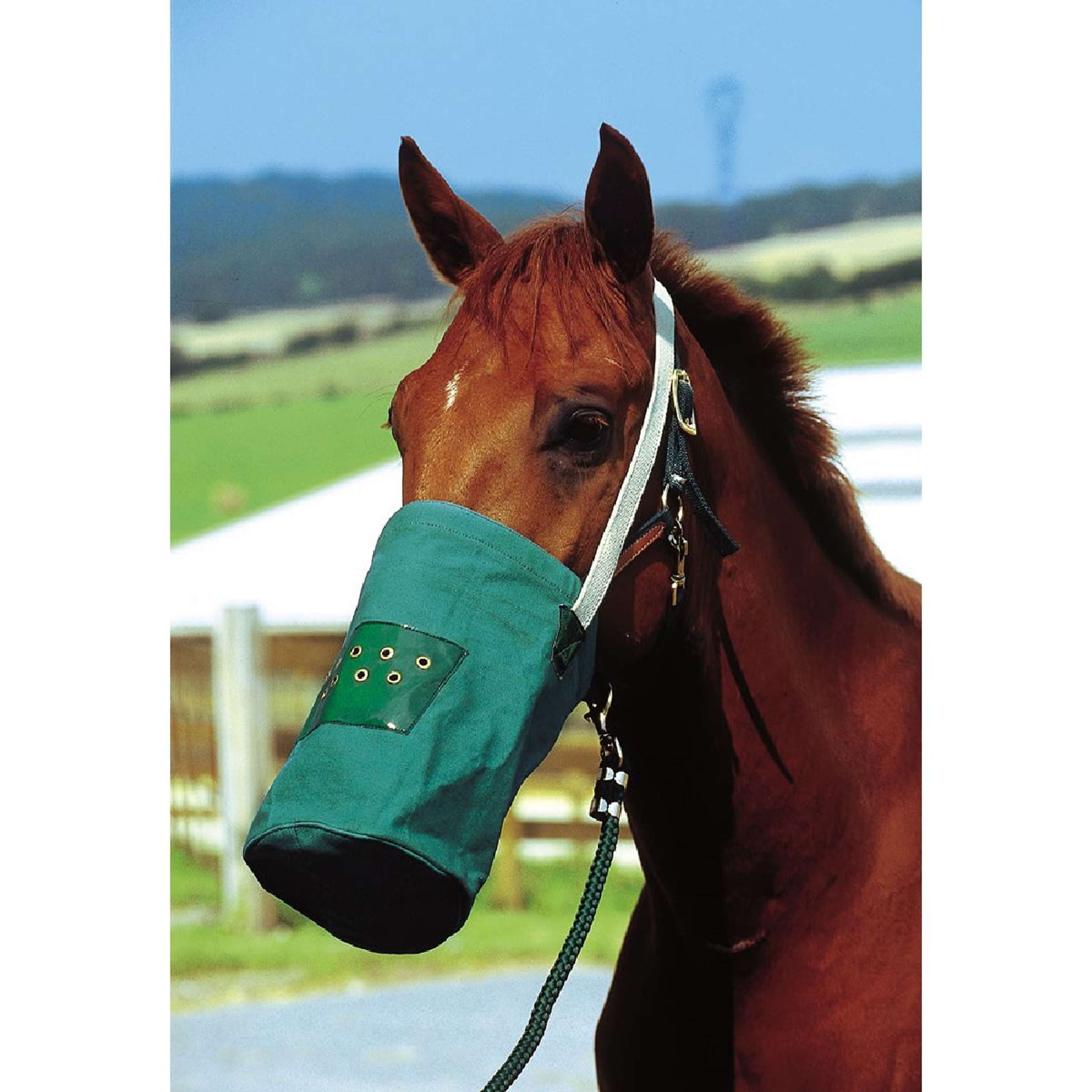 Hippotonic Musette Canvas Vert