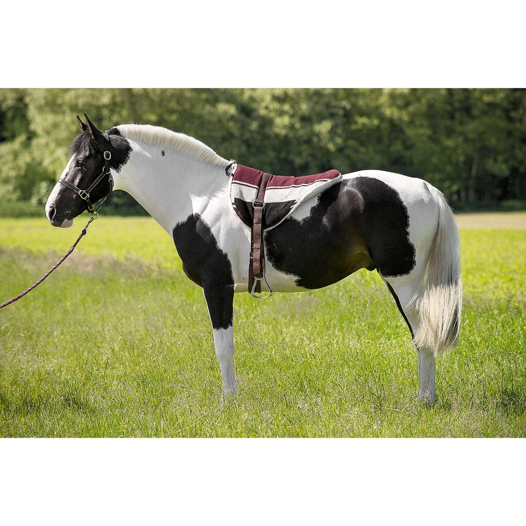 Norton Pad Sans Selle Marron/beige