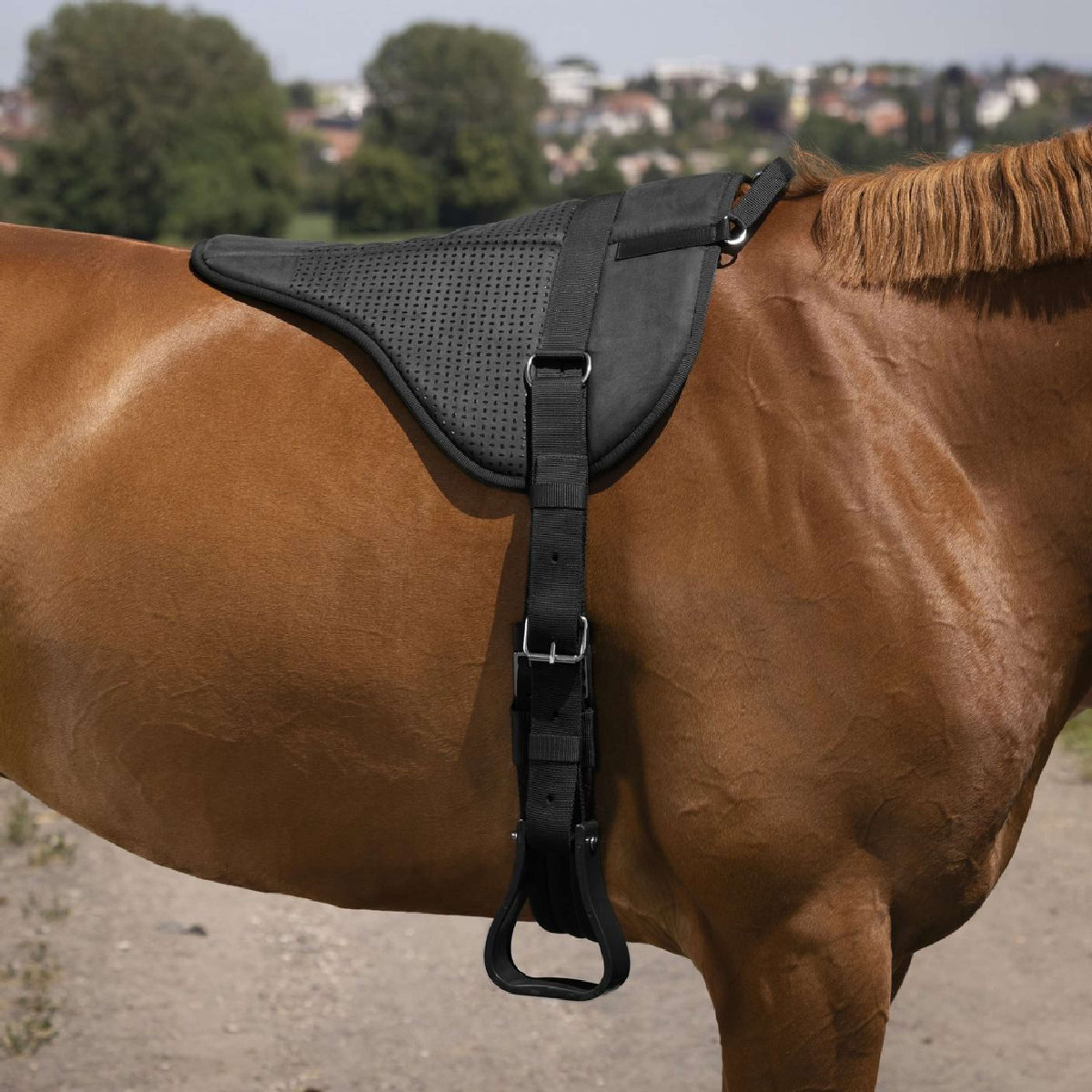 Norton Pad Sans Selle Silicone Noir