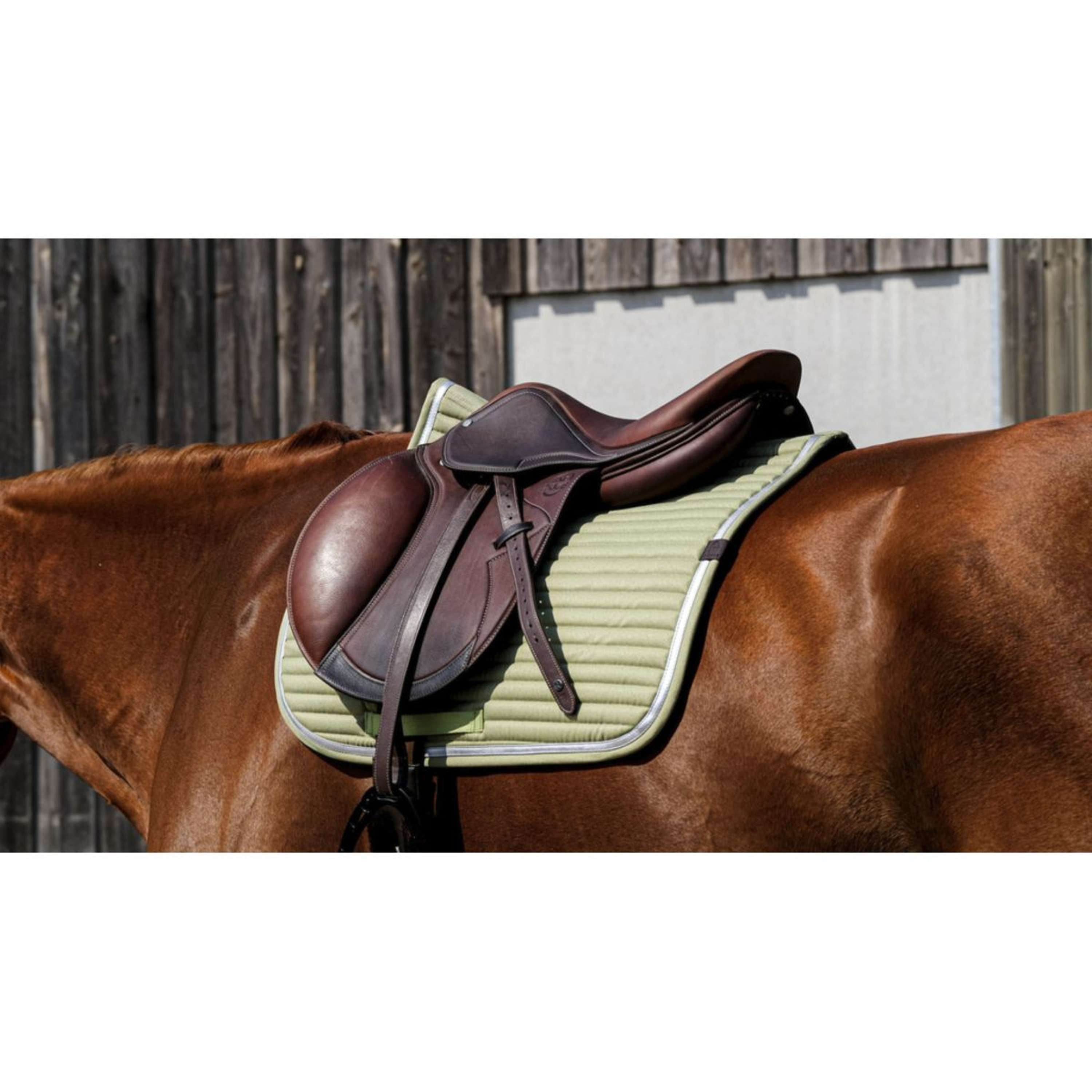 EQUITHÈME Tapis de Selle Spring de Saut Vert clair