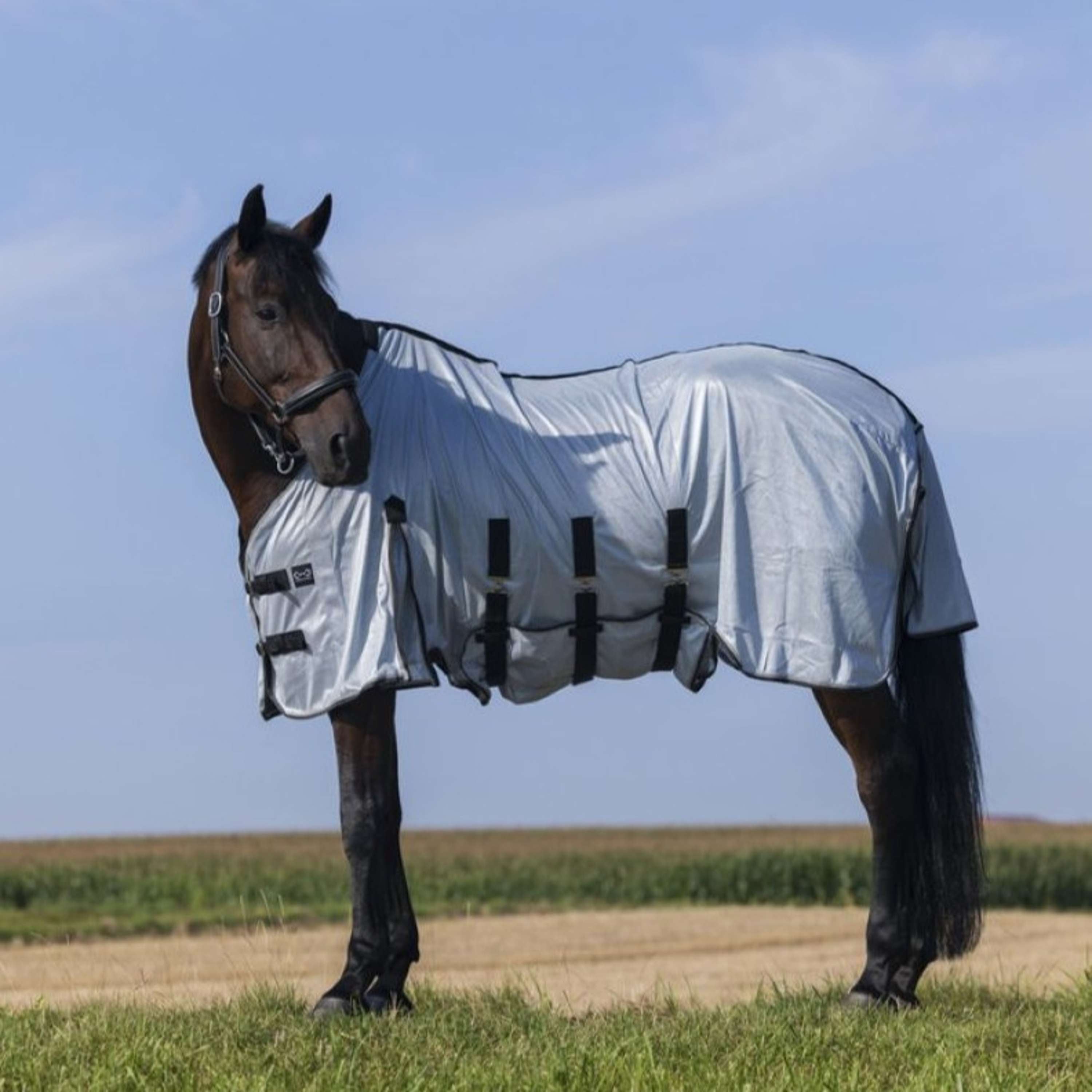 Riding World Couverture Anti-Mouches Belly Mesh Gris