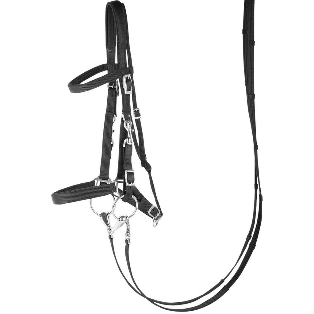 Harry's Horse Licol/Bridon Noir