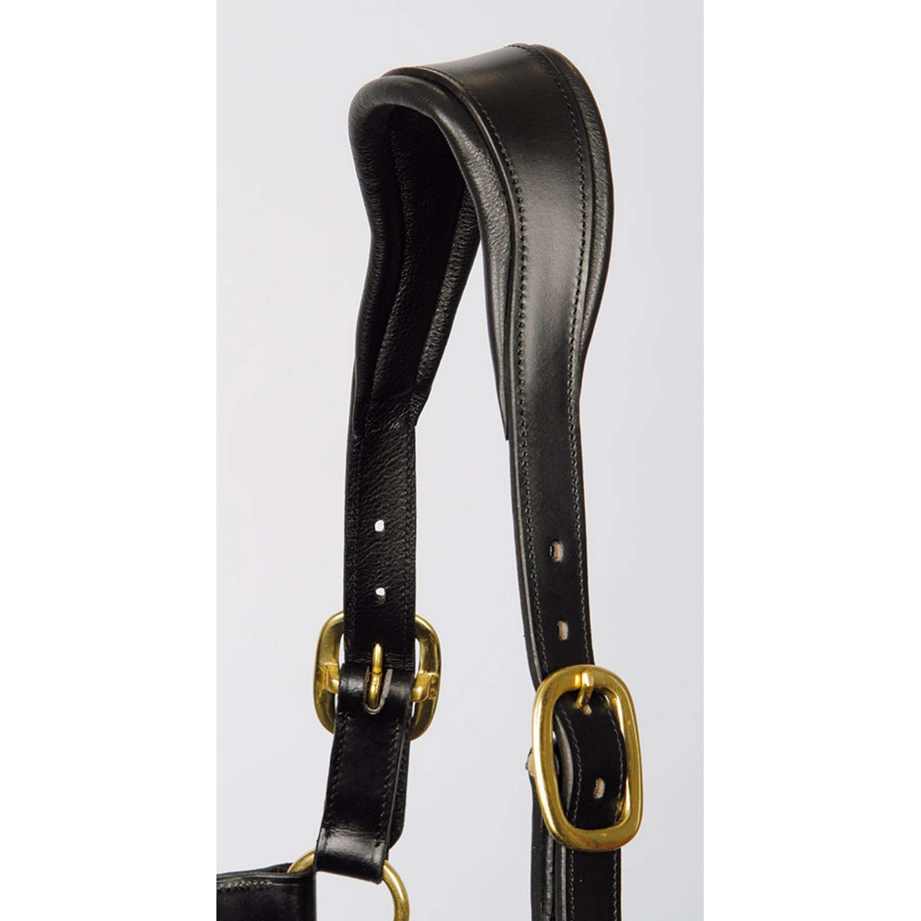 Harry's Horse Licol Cuir Anatomique Noir
