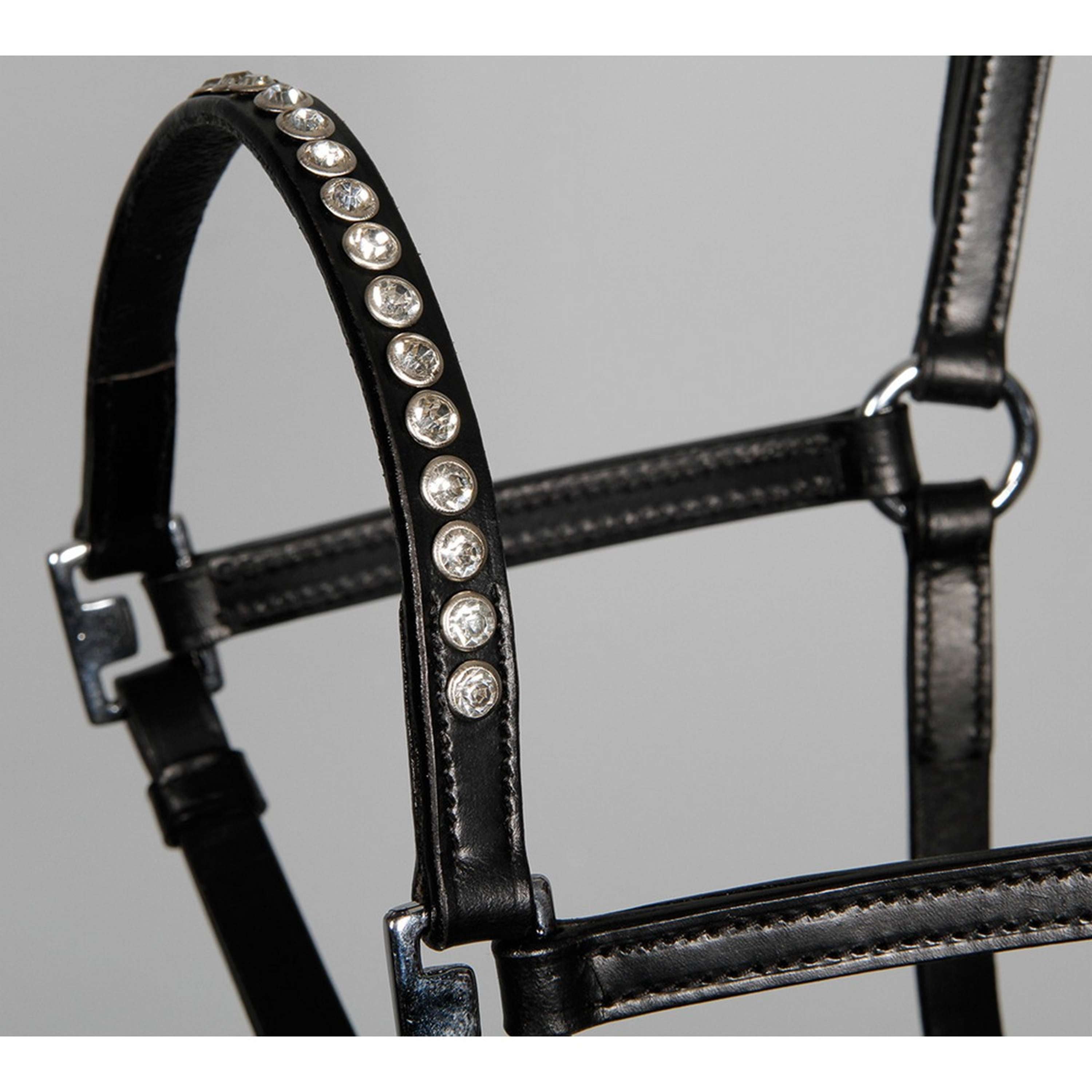 Harry's Horse Licol Crystal Noir/Argent