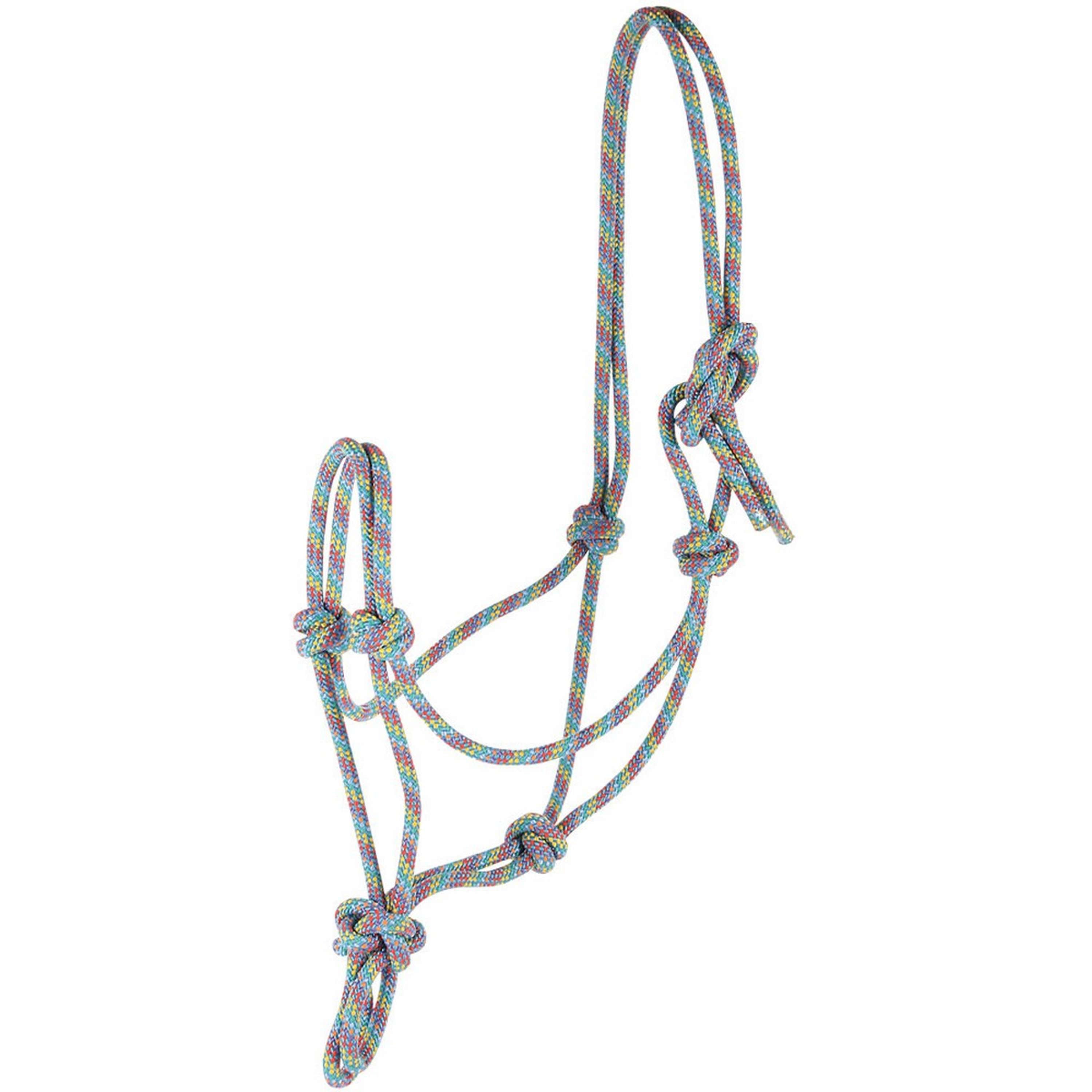 Harry's Horse Licol en Corde arc-en-ciel