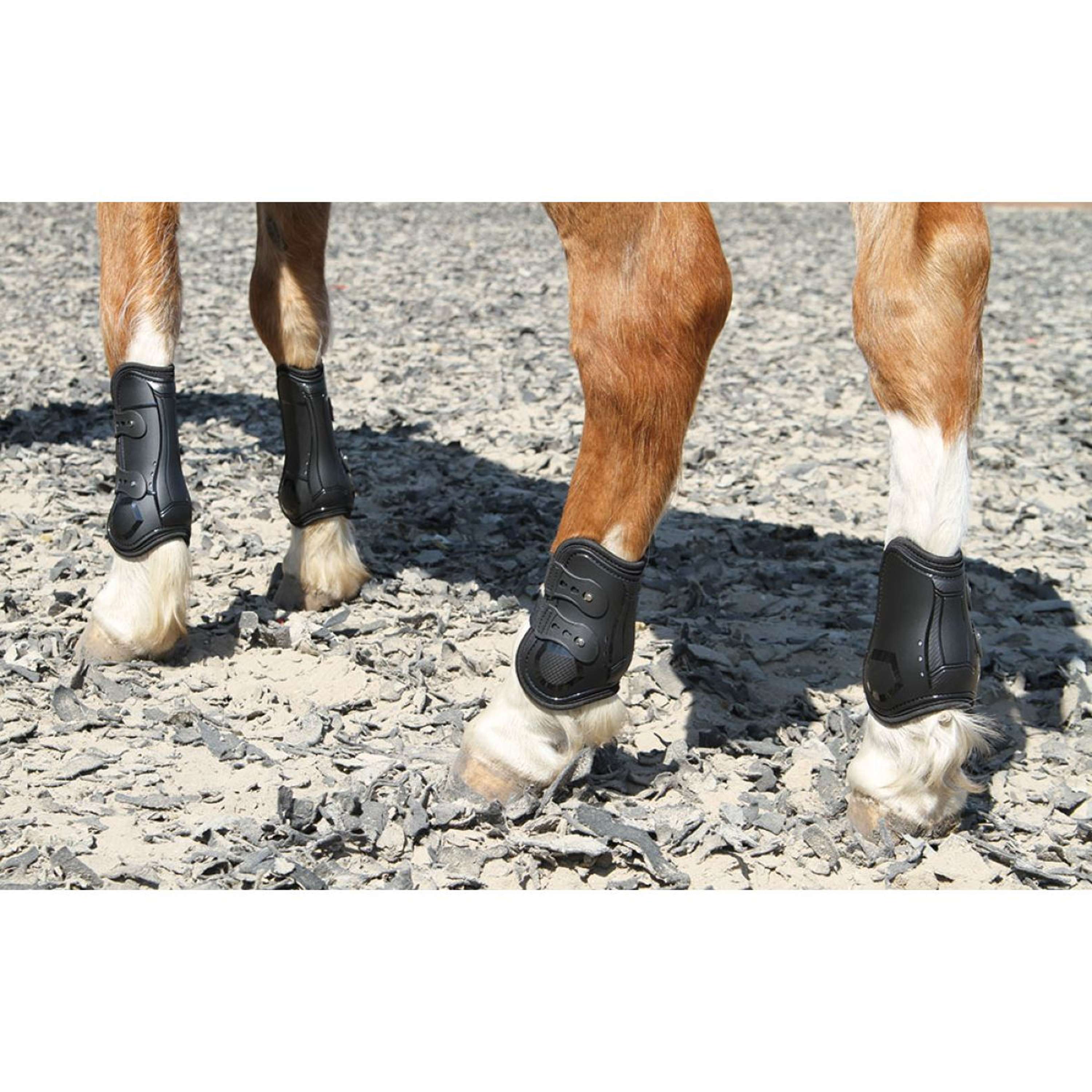 Harry's Horse Protèges-Tendons Percy Noir