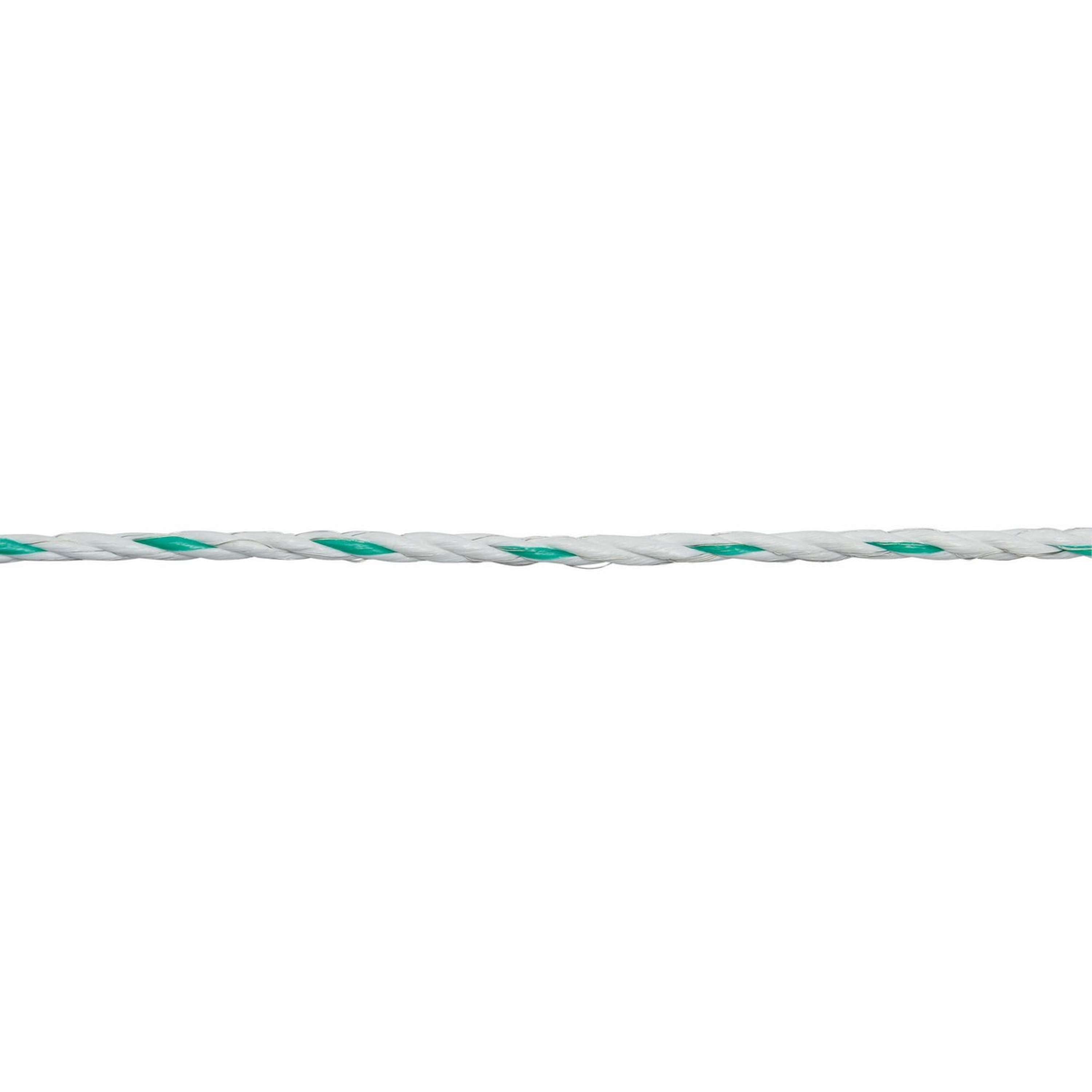 Ako Corde PremiumLine Blanc/Vert