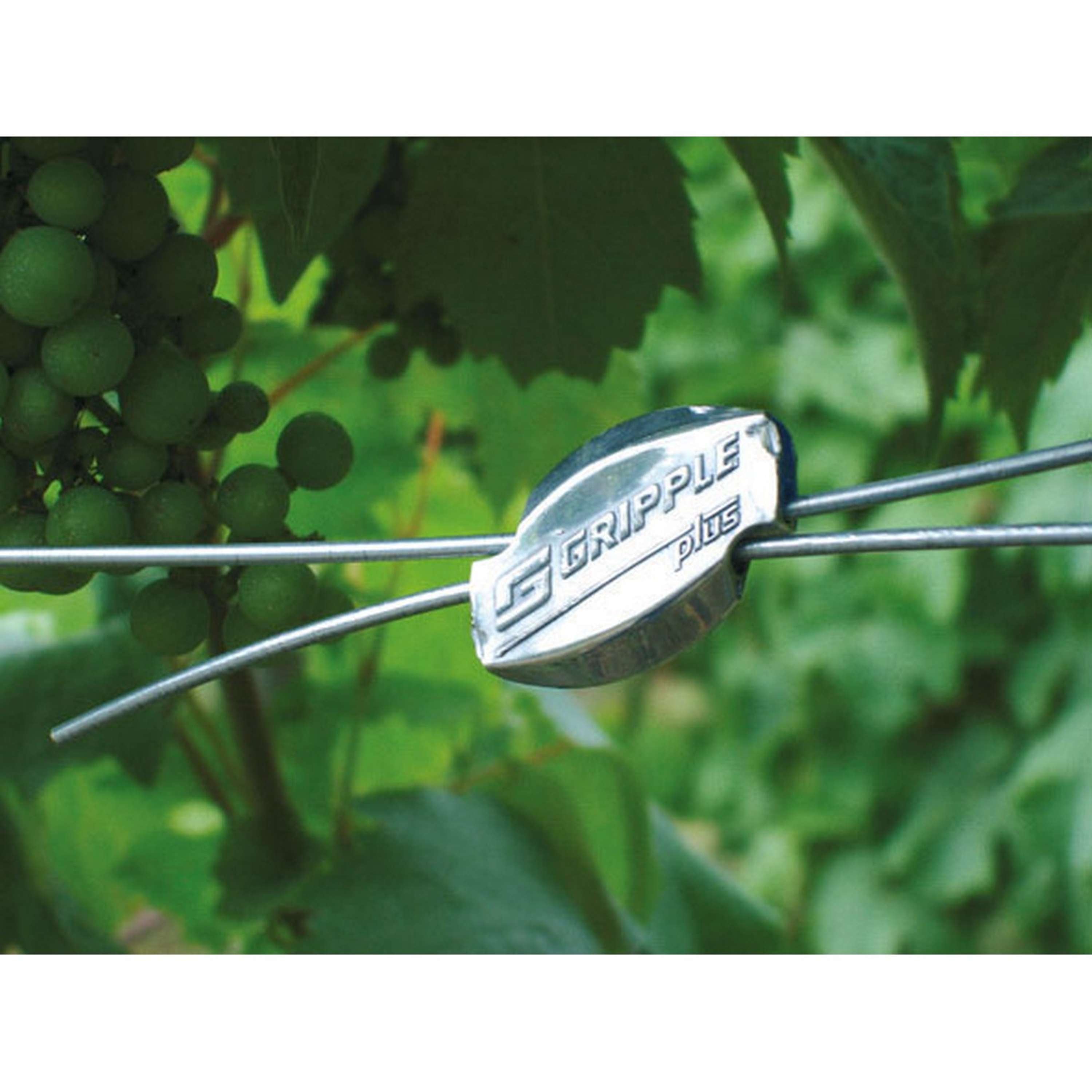 Ako Connecteur de Fil Gripple 20 Pièces
