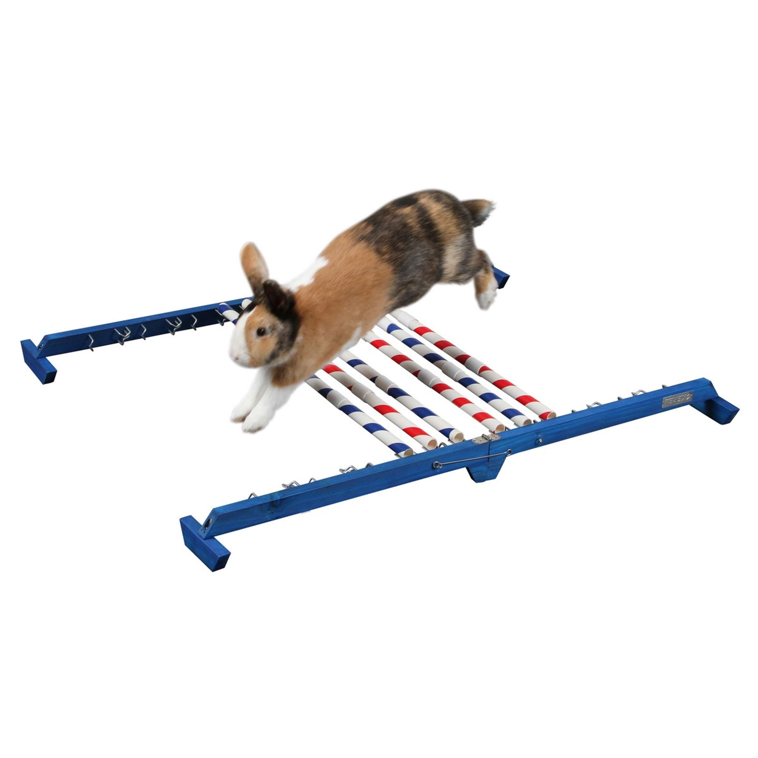 Kerbl Obstacle combiné Agility 2