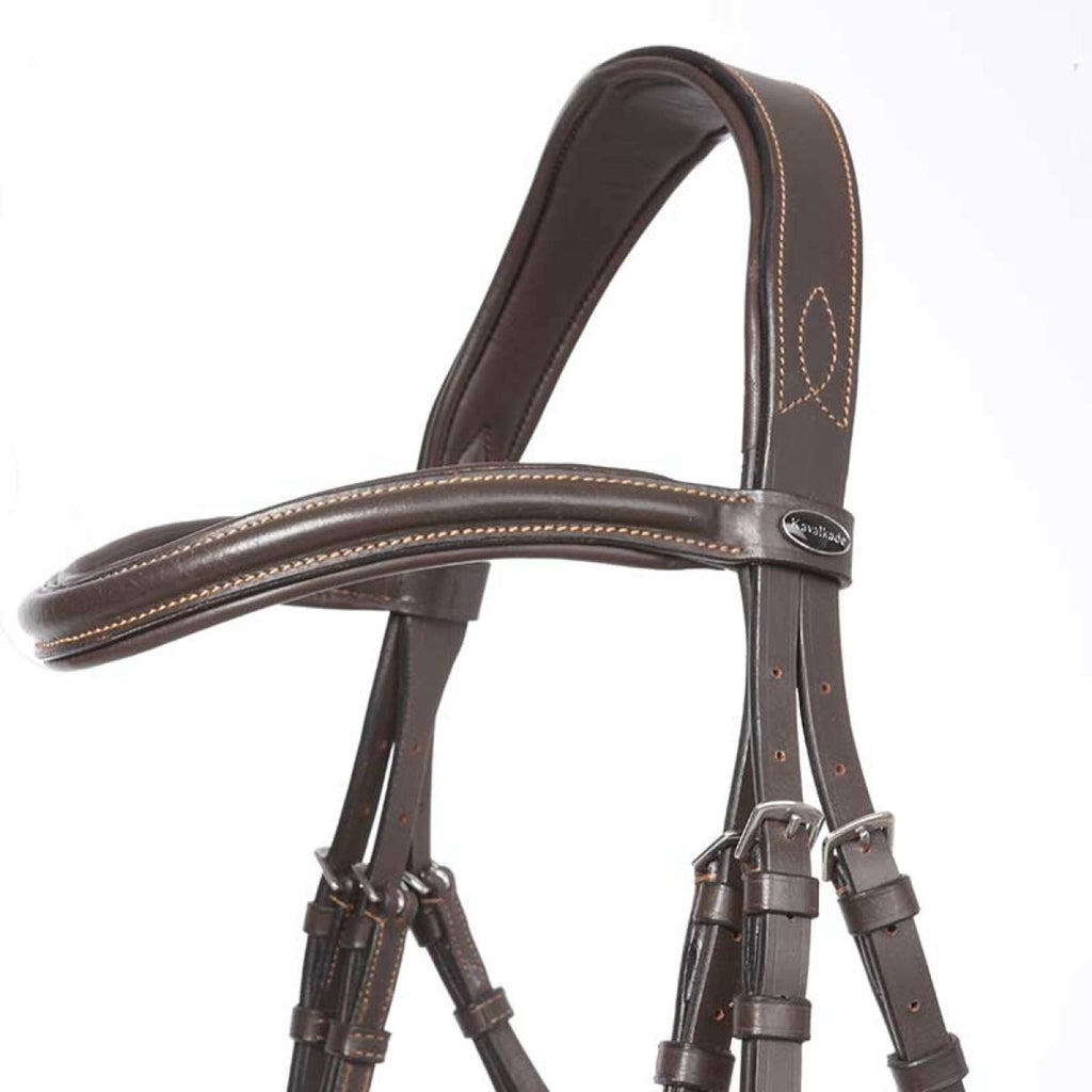 Kavalkade Bridon Ivy Marron