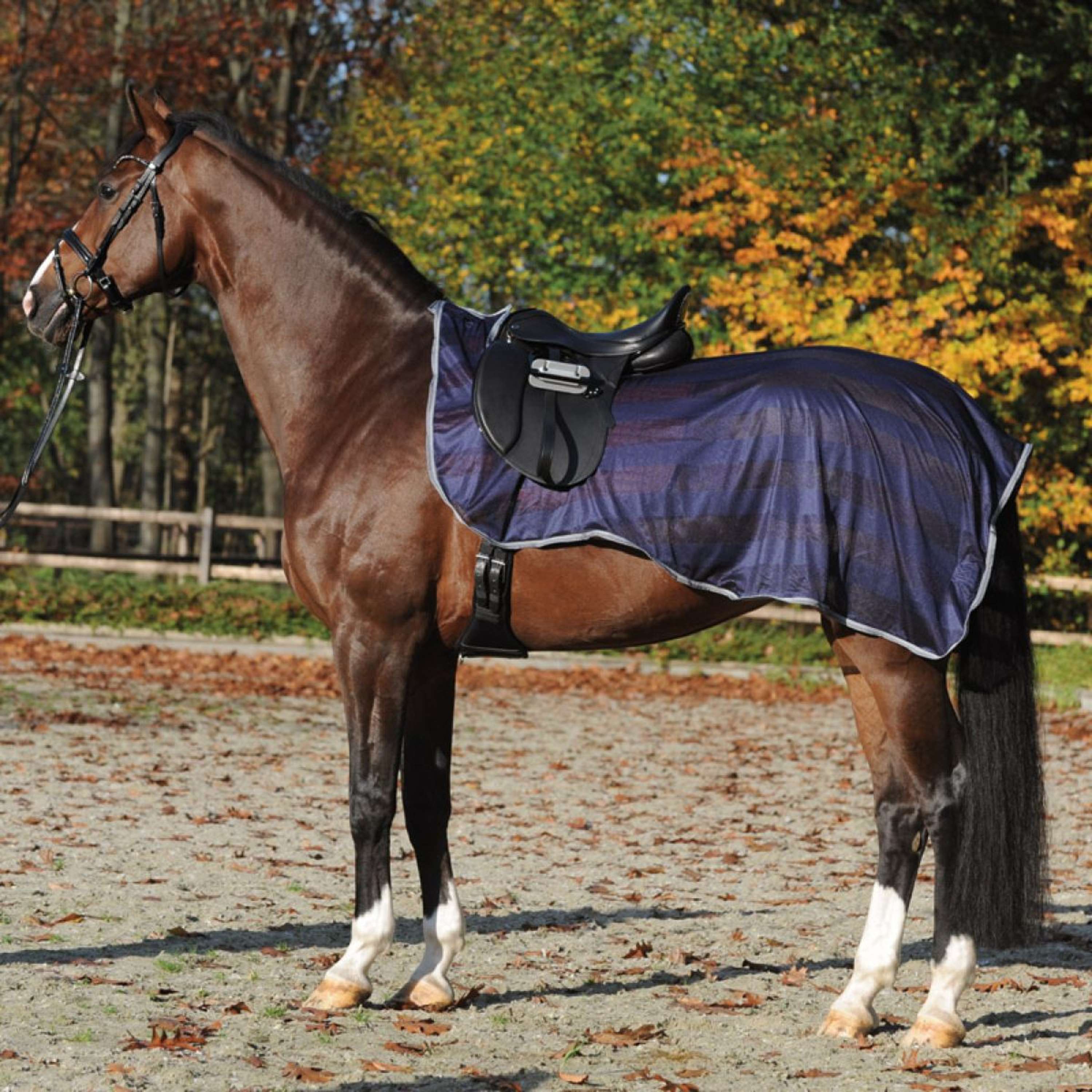 Kavalkade Couvre-reins Fly Marine/Gris