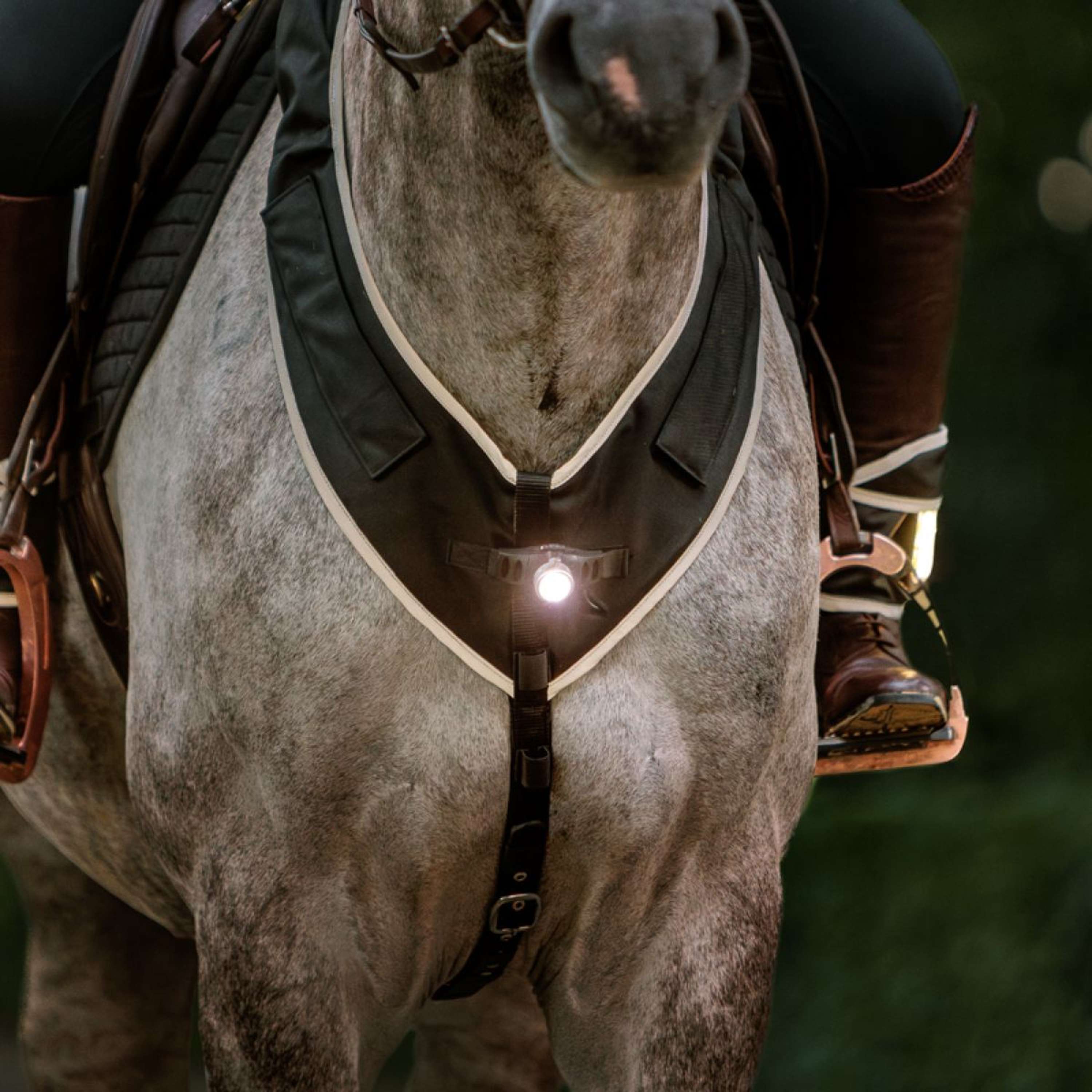 Kavalkade Collier de Chasse Horselight Noir/Gris