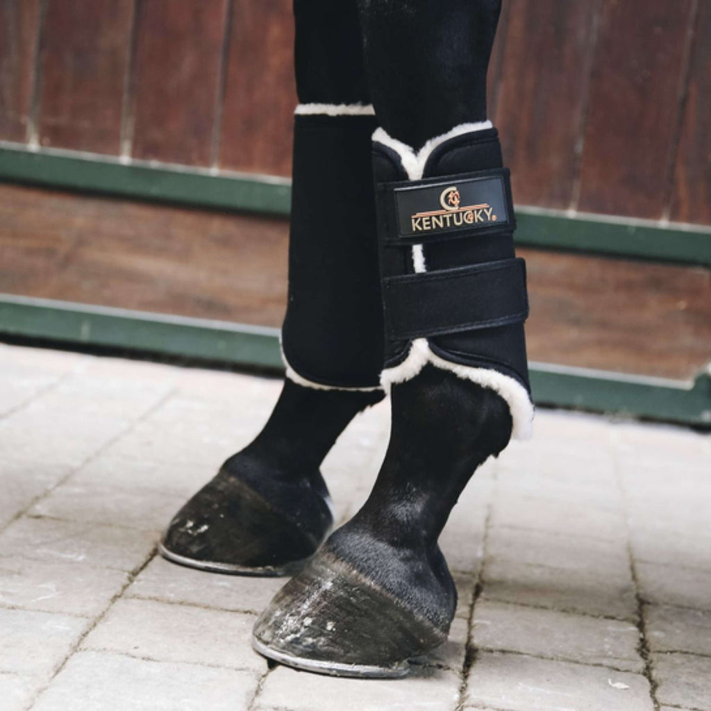 Kentucky Turnout Boots Solimbra Jambes Avant Noir