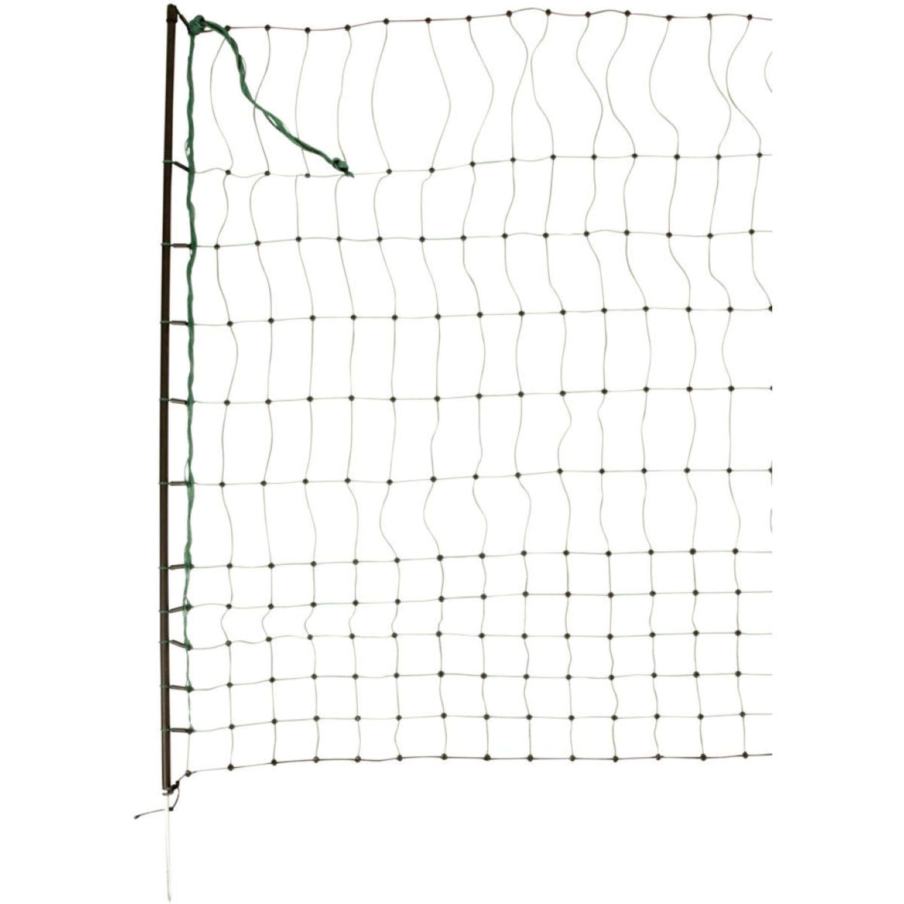 Ako Filet Volaille Simple Pointe Vert