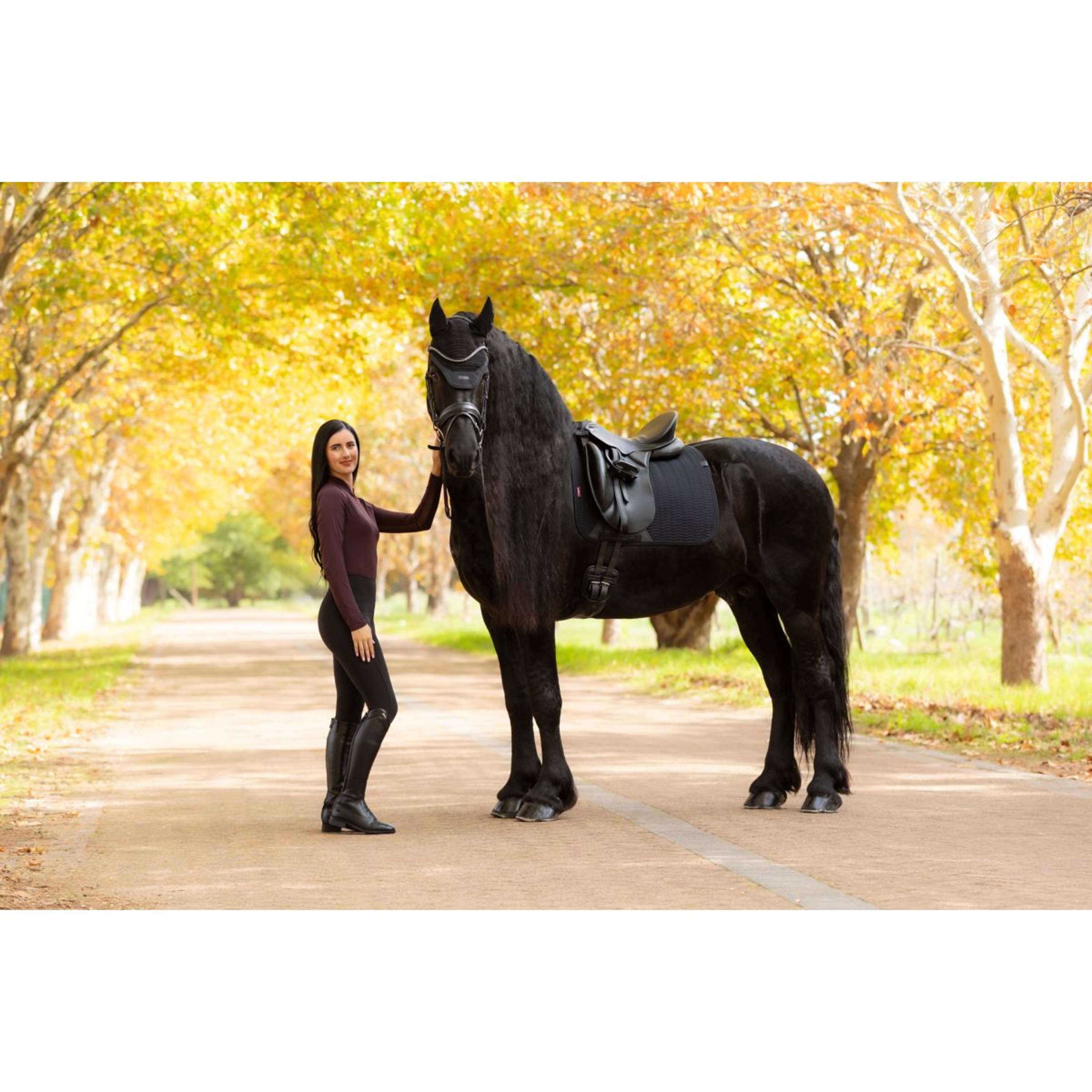 LeMieux Tapis de Selle Essence Dressage Noir