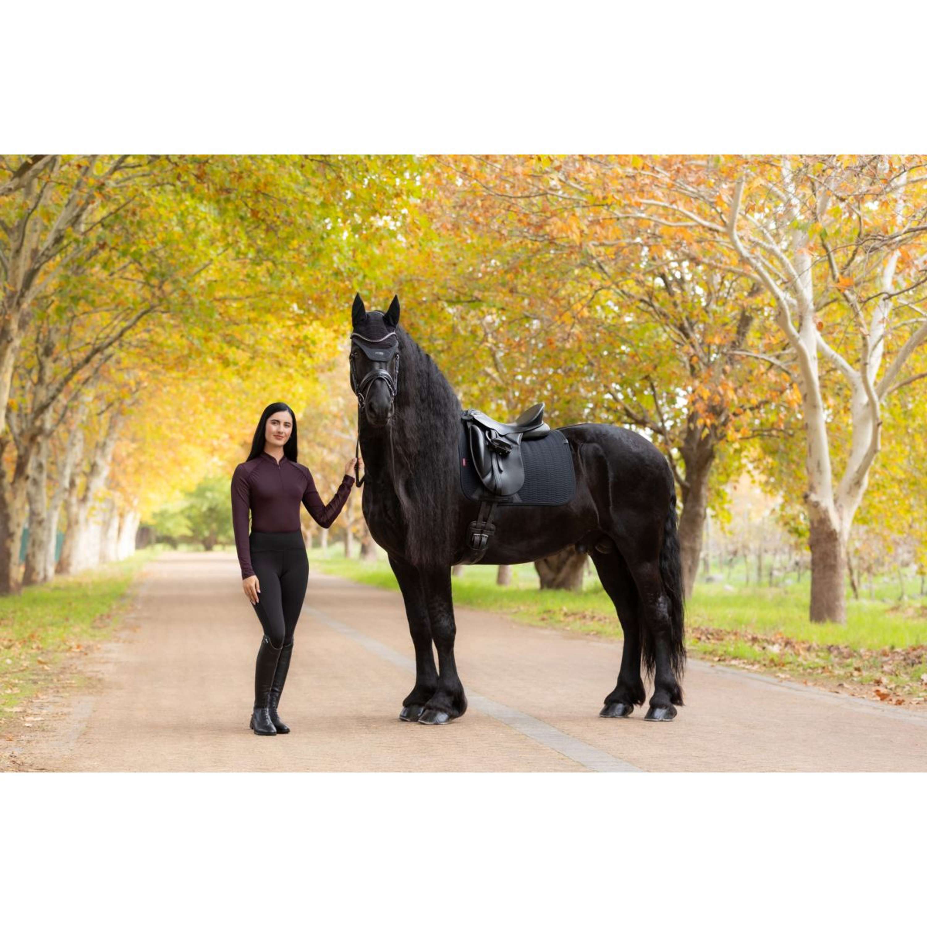 LeMieux Tapis de Selle Essence Dressage Noir