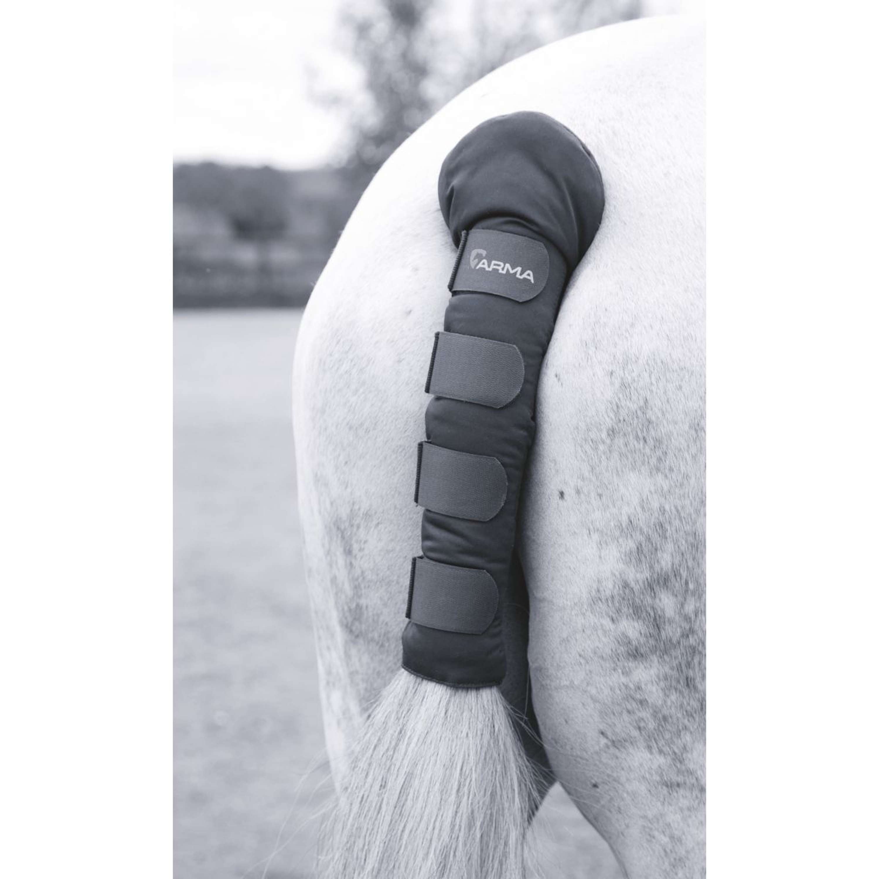 Arma by Shires Protege Queue Padded Noir