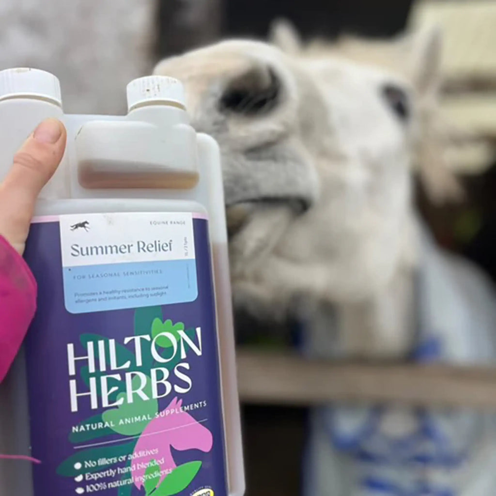 Hilton Herbs Summer Relief