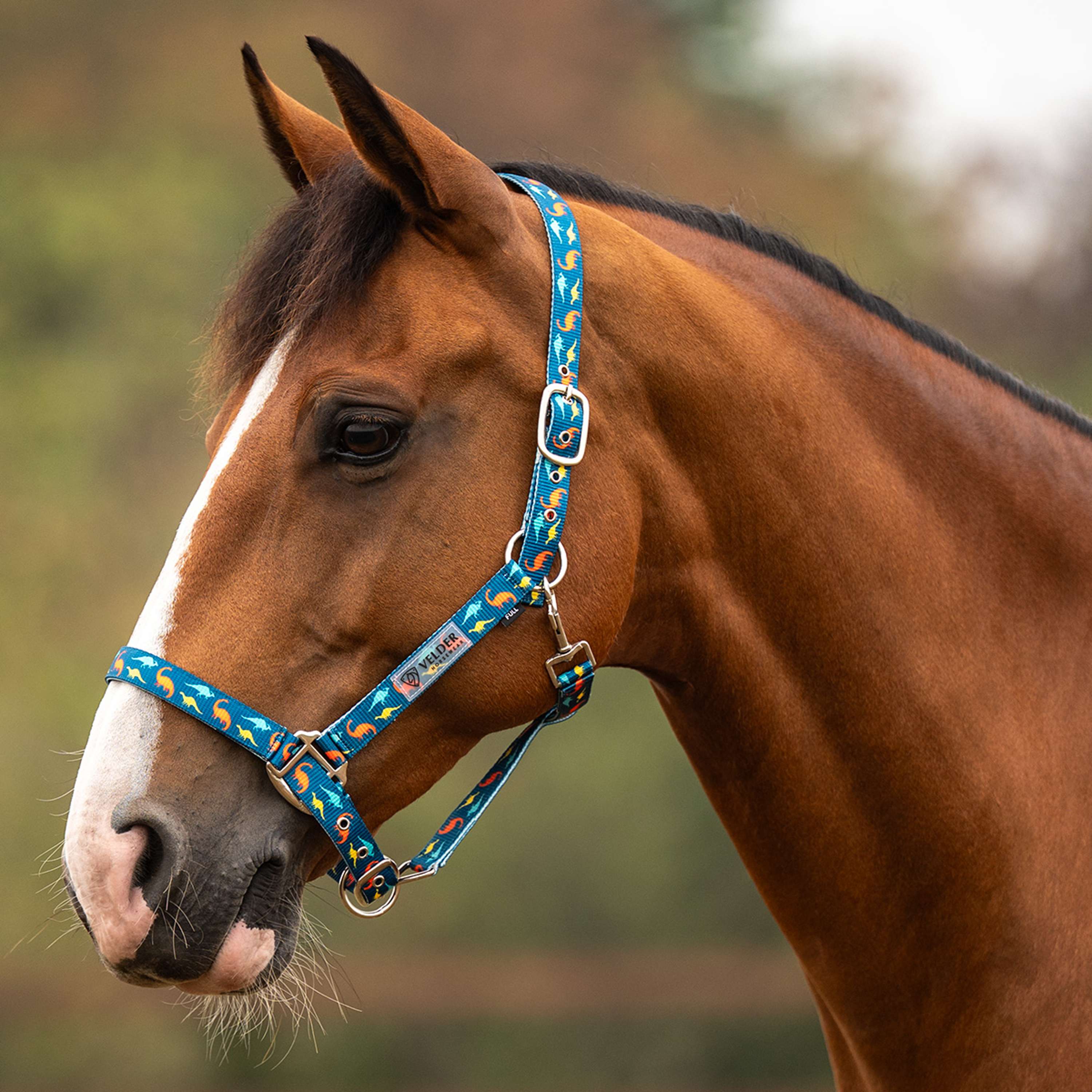 Velder Horsewear Essentials Licol Dino Bleu/Orange