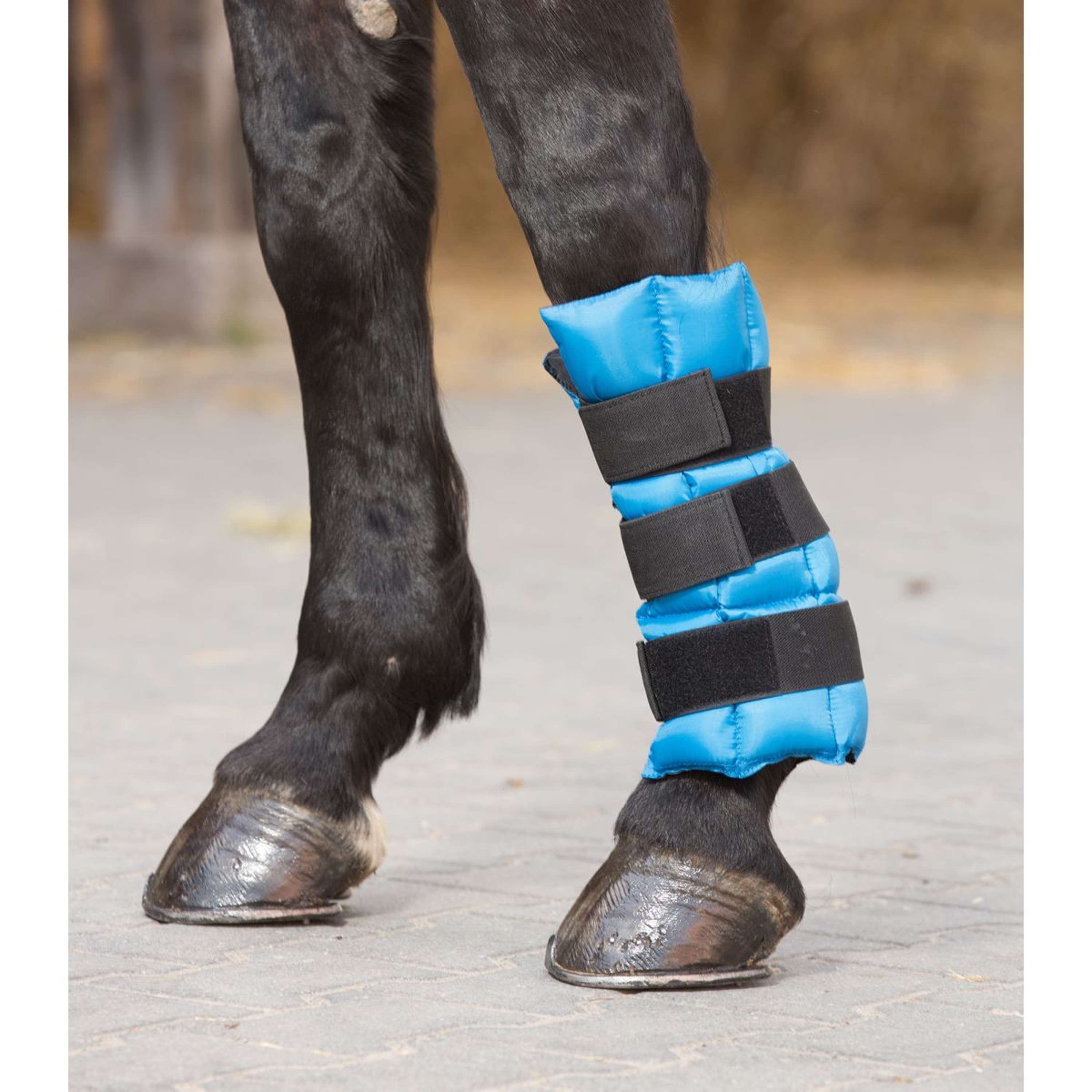 Waldhausen Health + Care Ice Boot Gel Petrol
