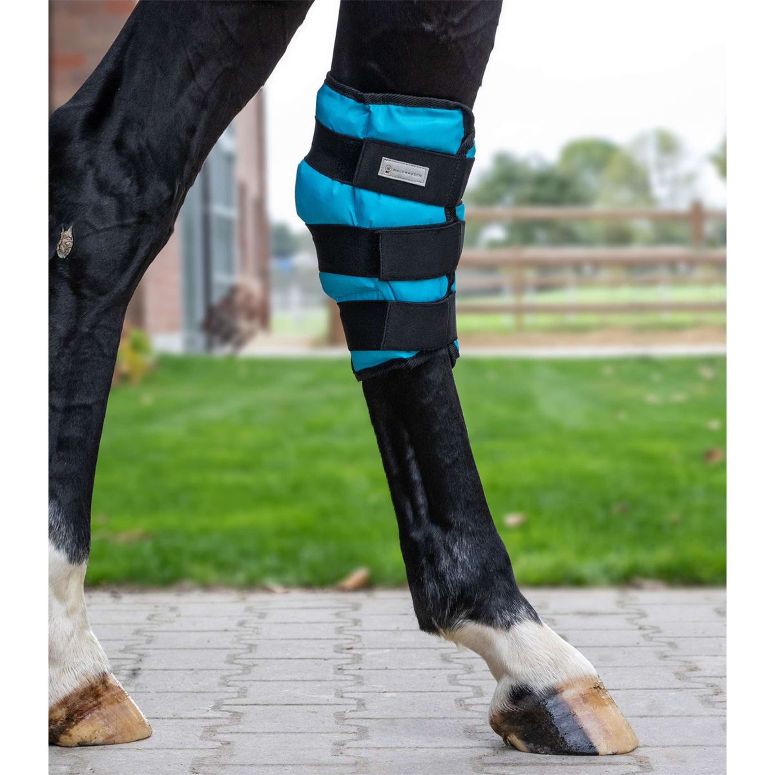 Waldhausen Health + Care Ice Boot Gel Talon Petrol