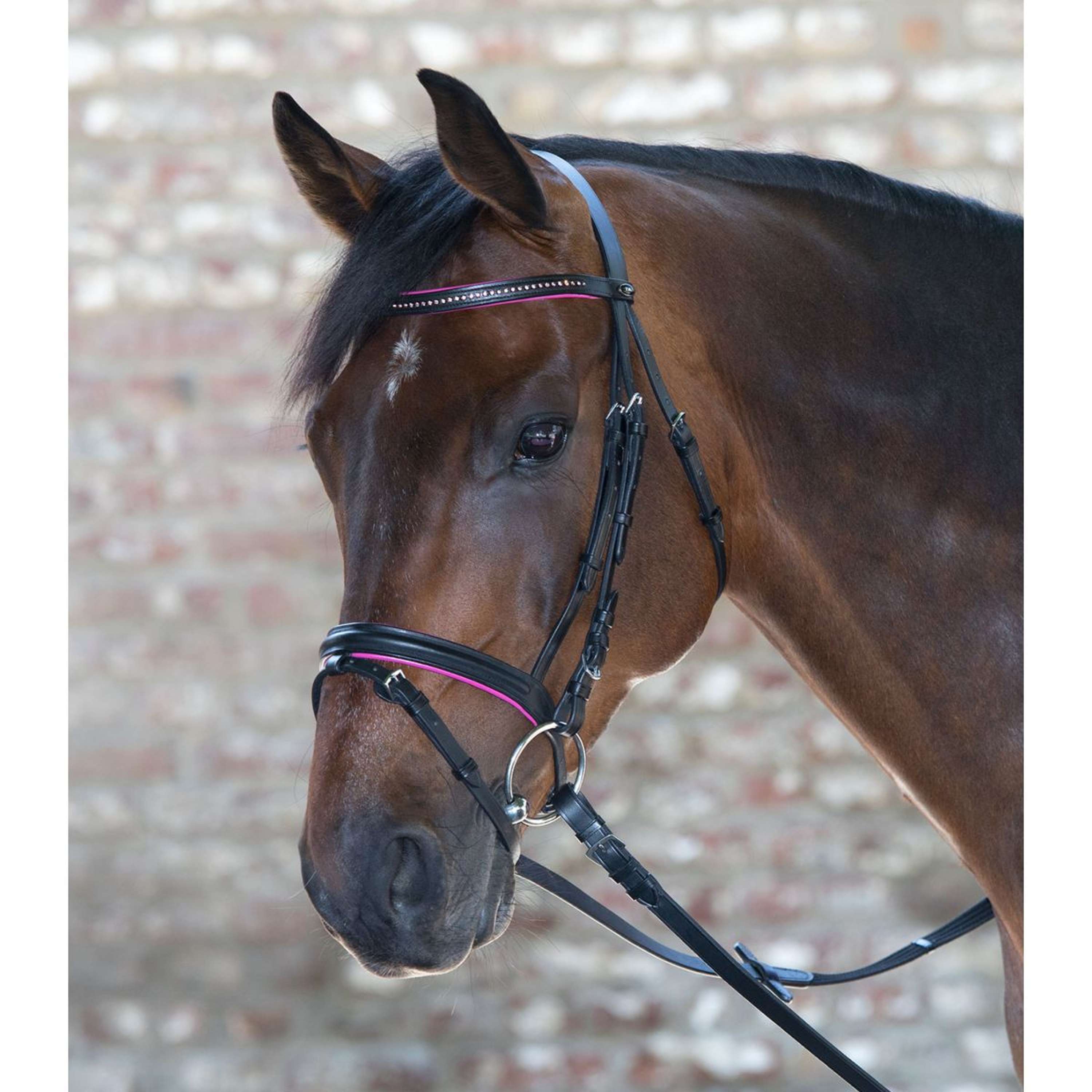 Star Bridon Diamond Anglais Combiné Fuchsia