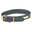 WeatherBeeta Collier pour Chien Padded Leather Noir