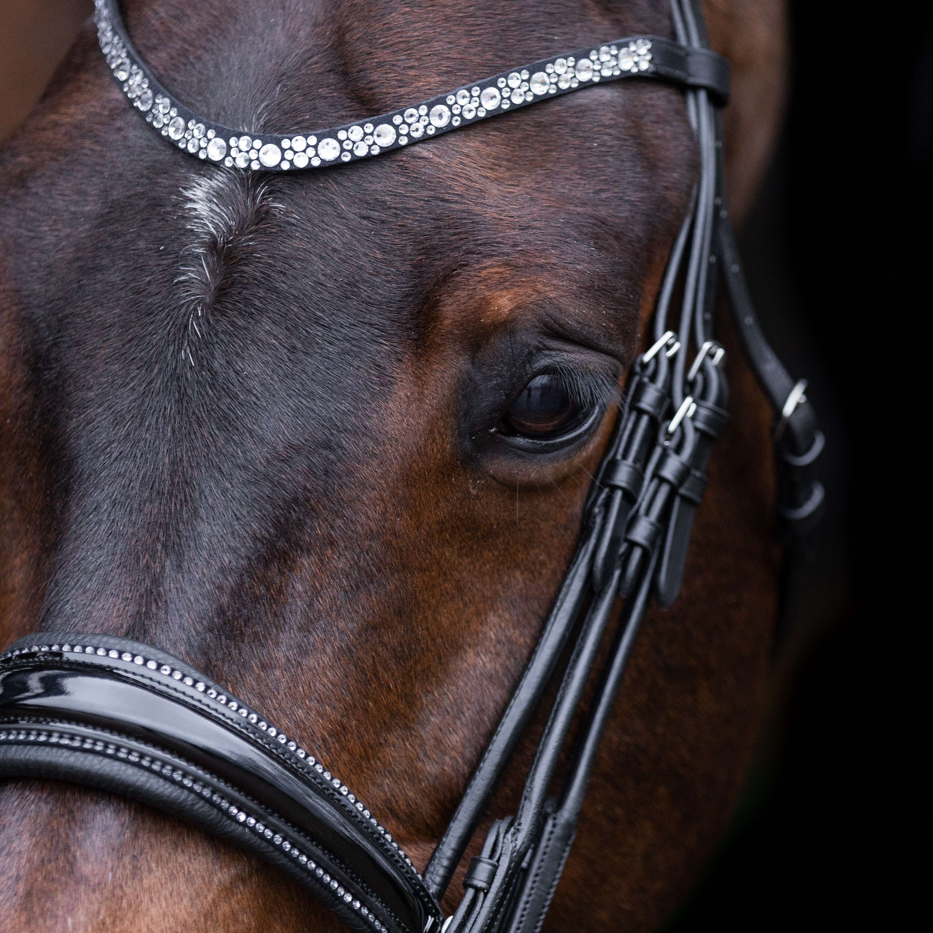 Imperial Riding Ensemble Bride IRHOlympia Noir/Argent