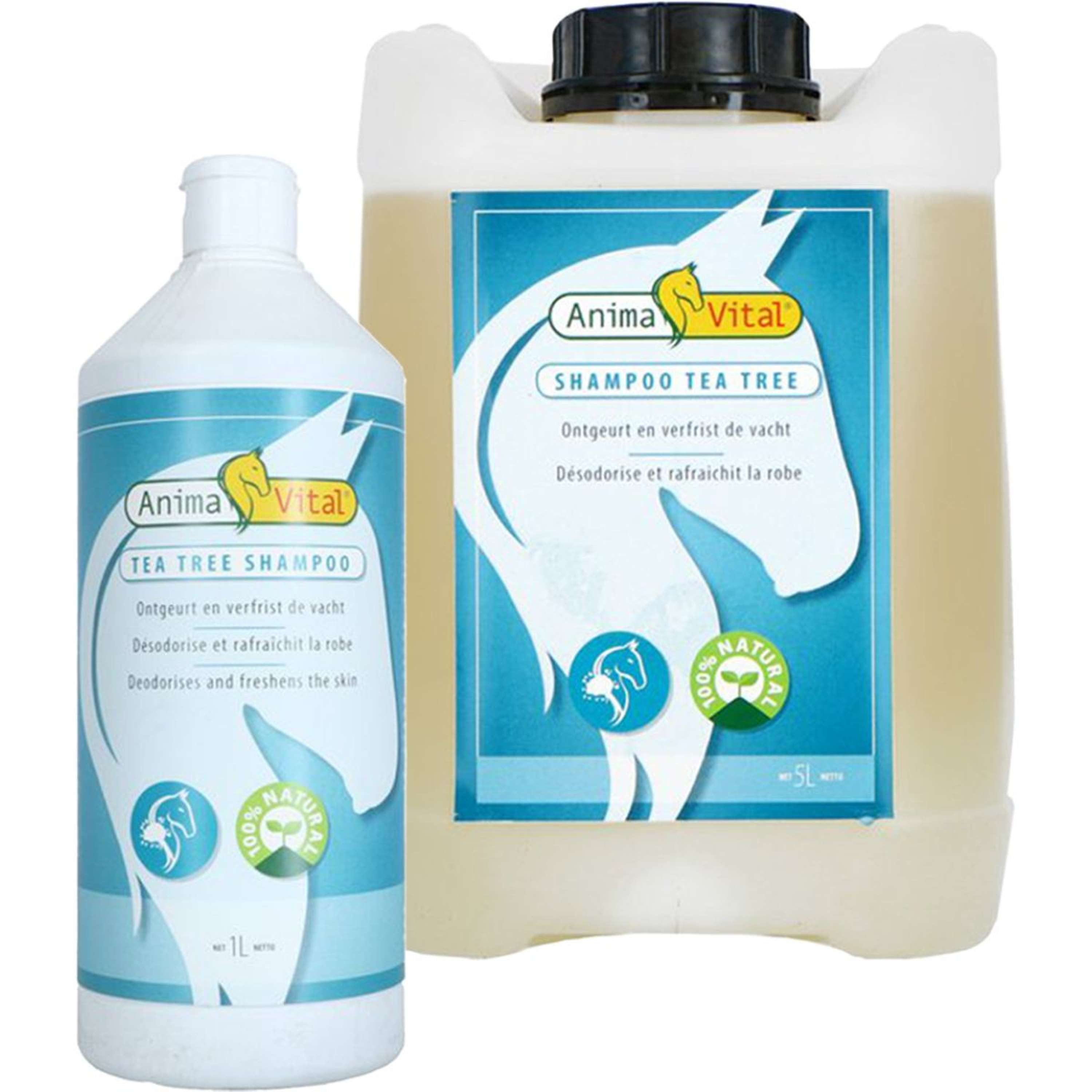 Animavital Shampooing à l'Arbre à Thé