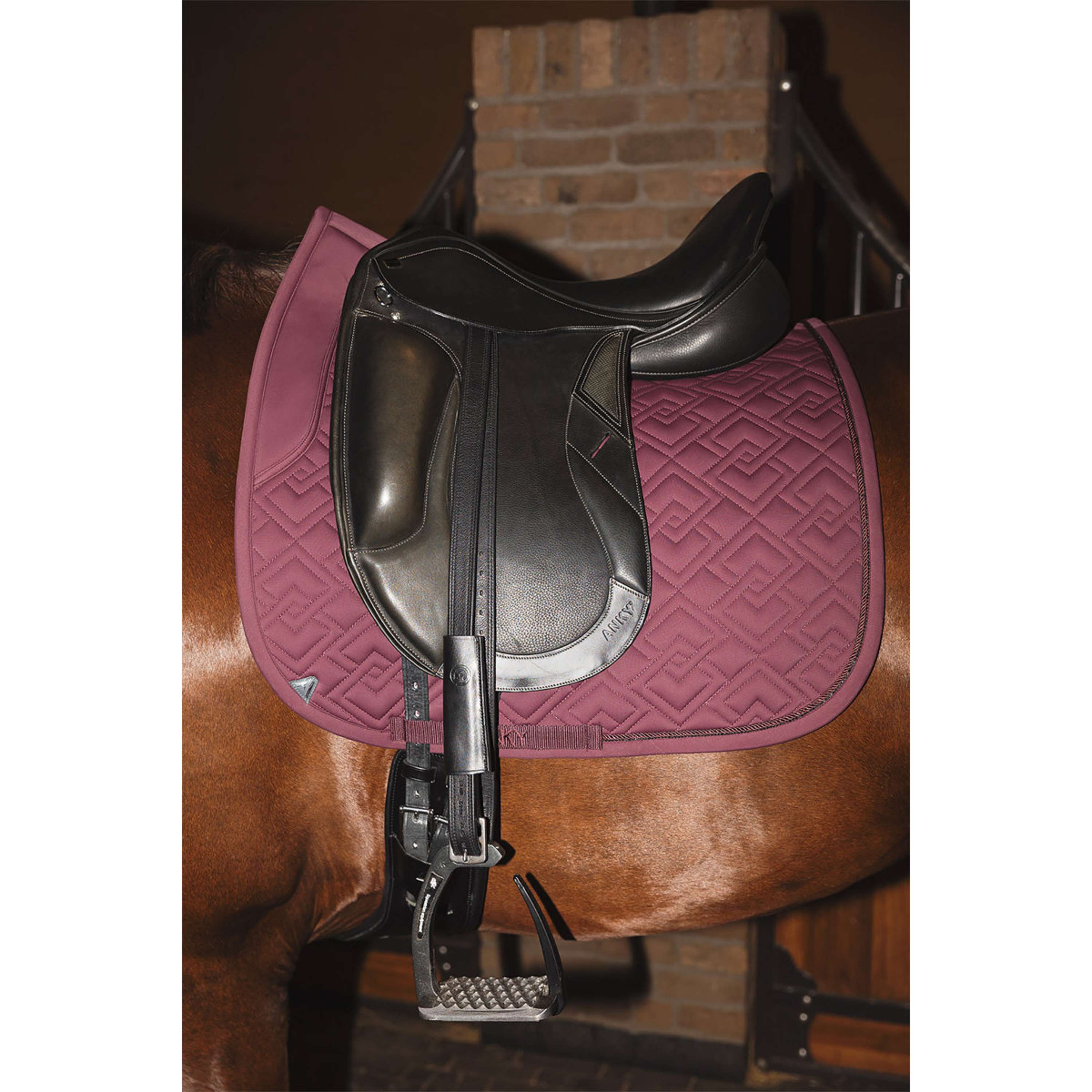 ANKY Tapis de Selle Professional XB25001 3C Dressage Sassafras