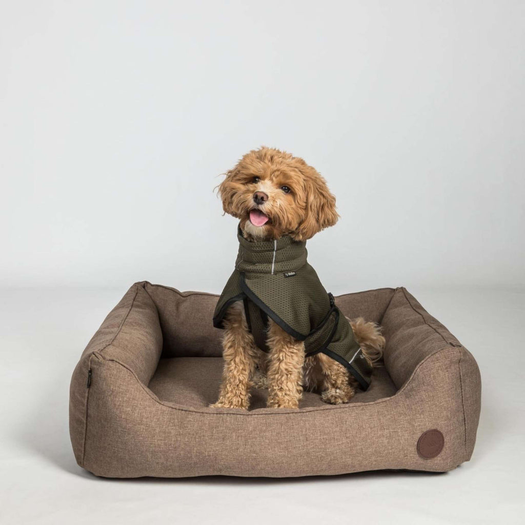 Back on Track Veste pour Chien BAY Mesh Olive
