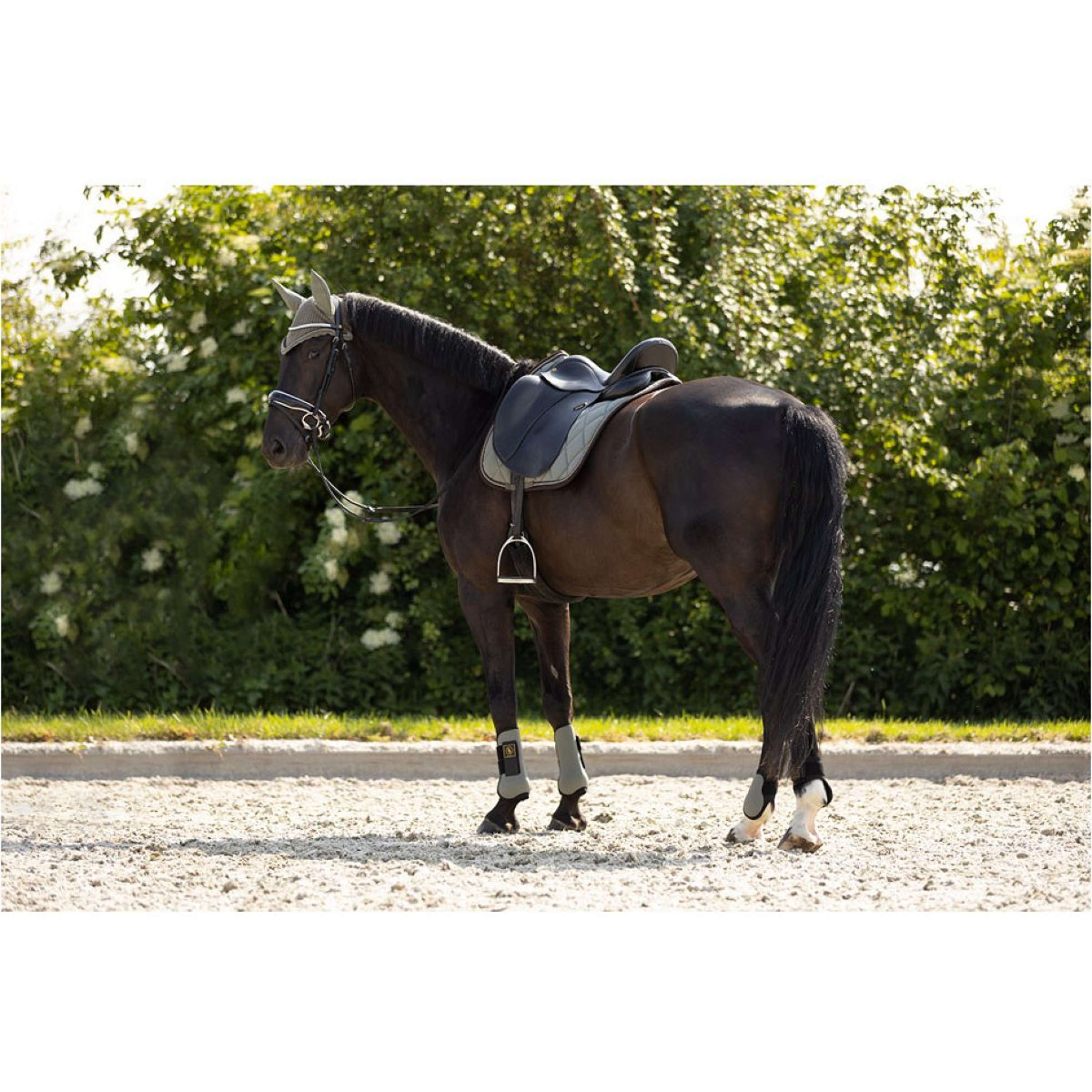 BR Protèges-Tendons Event Neopreen Voering Mulled Basil