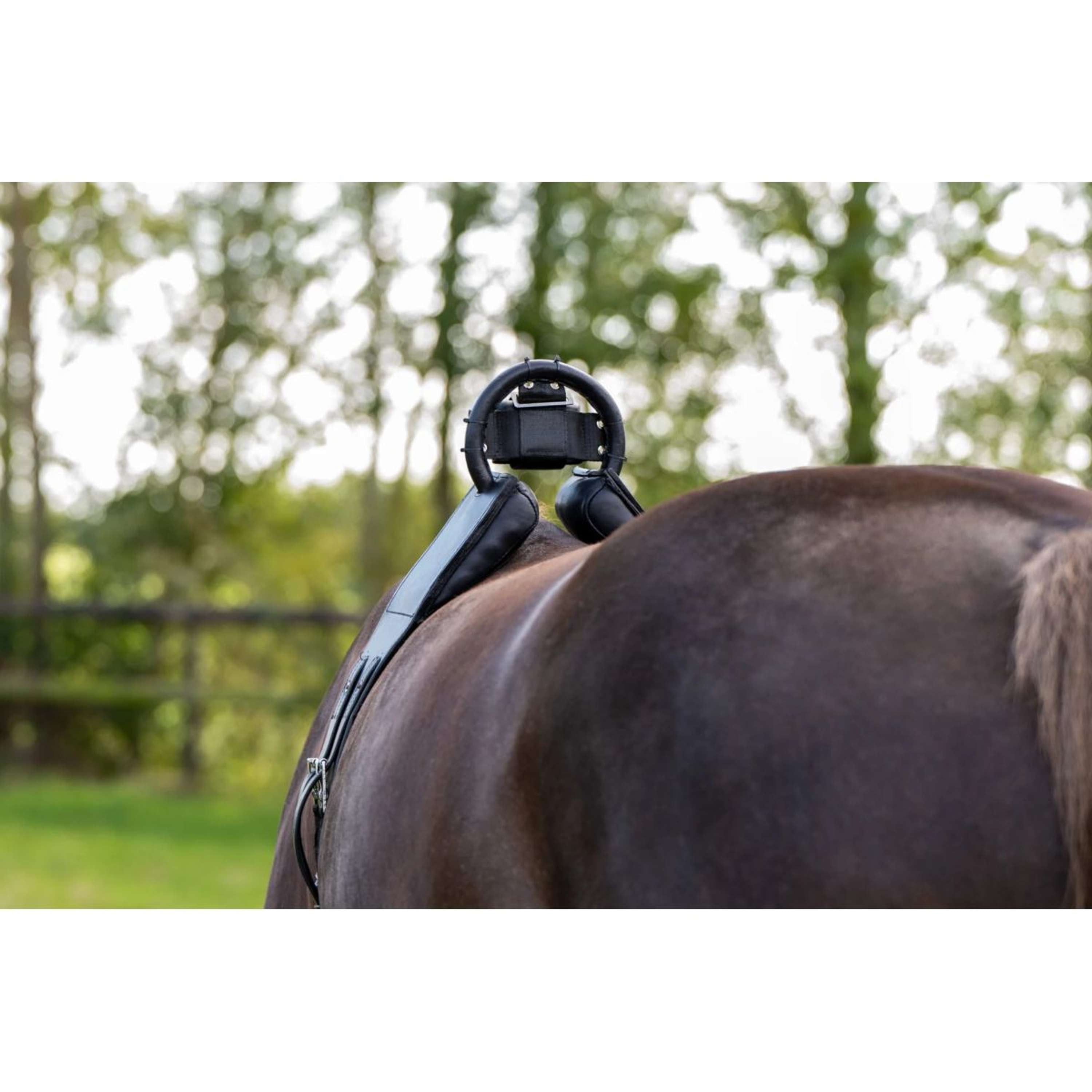 Birth Alarm Surfaix Complet Avec Sangle Standard