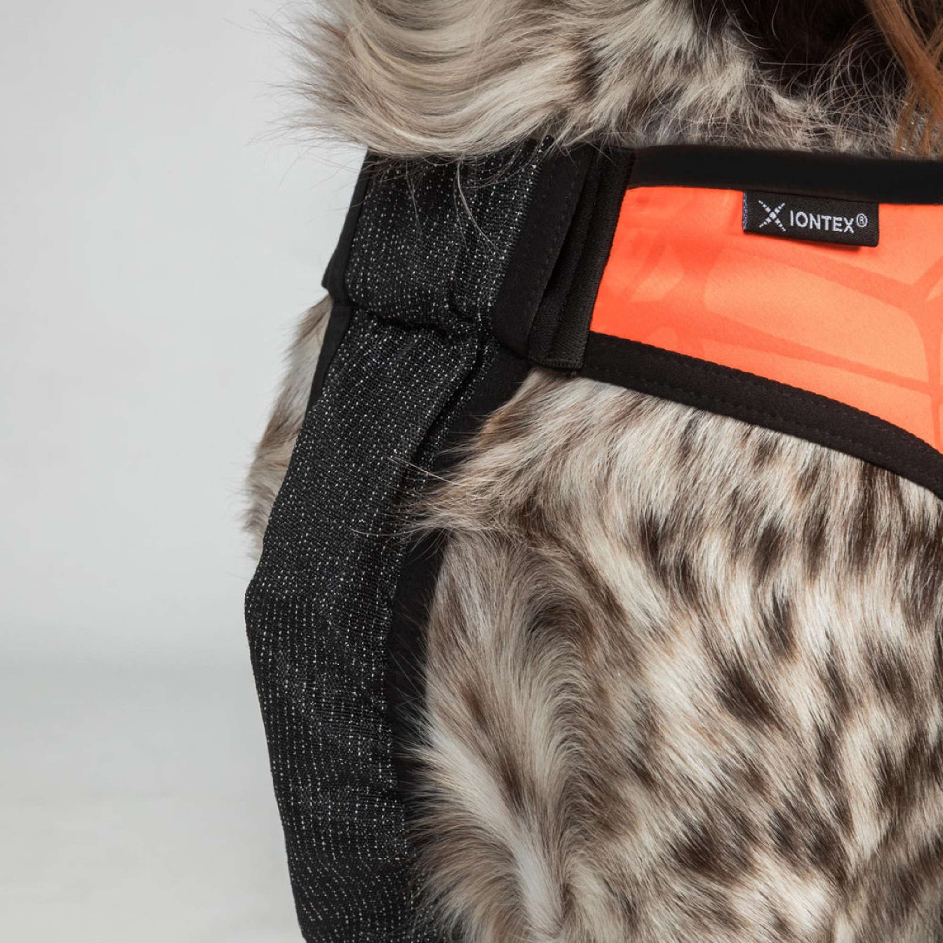 Back on Track Veste pour Chien TRAKK Réfléchissant Orange