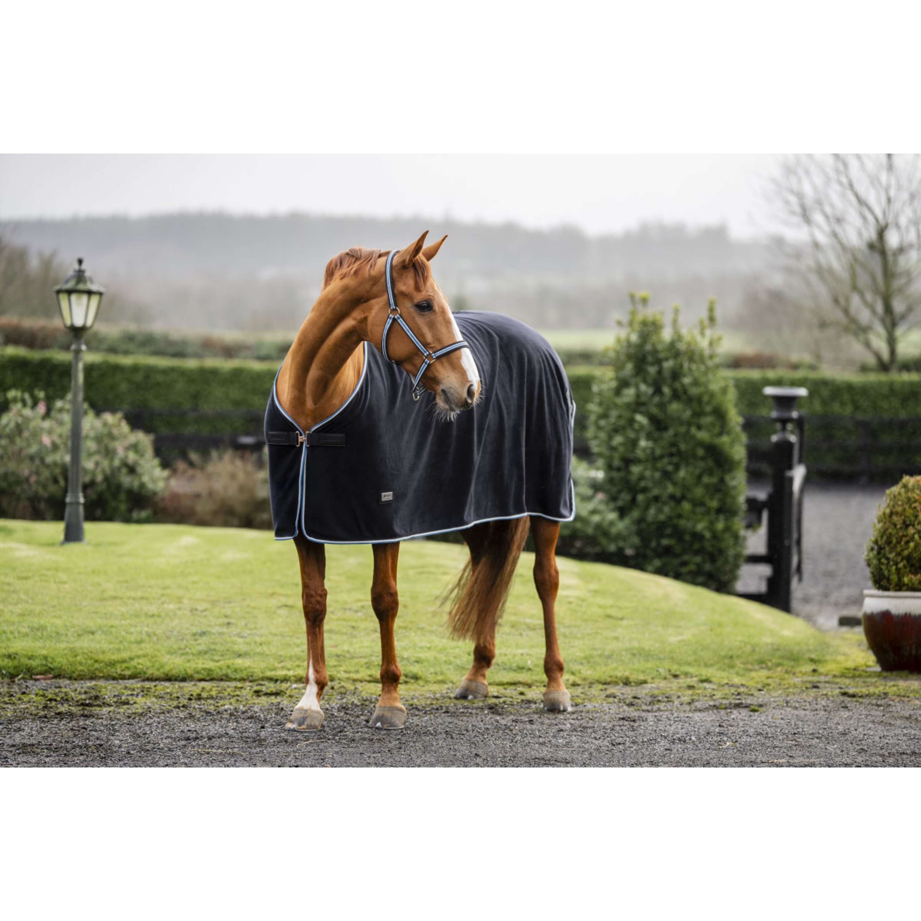 Bucas Anniversary Couverture Polaire Exercice 400g Sapphire