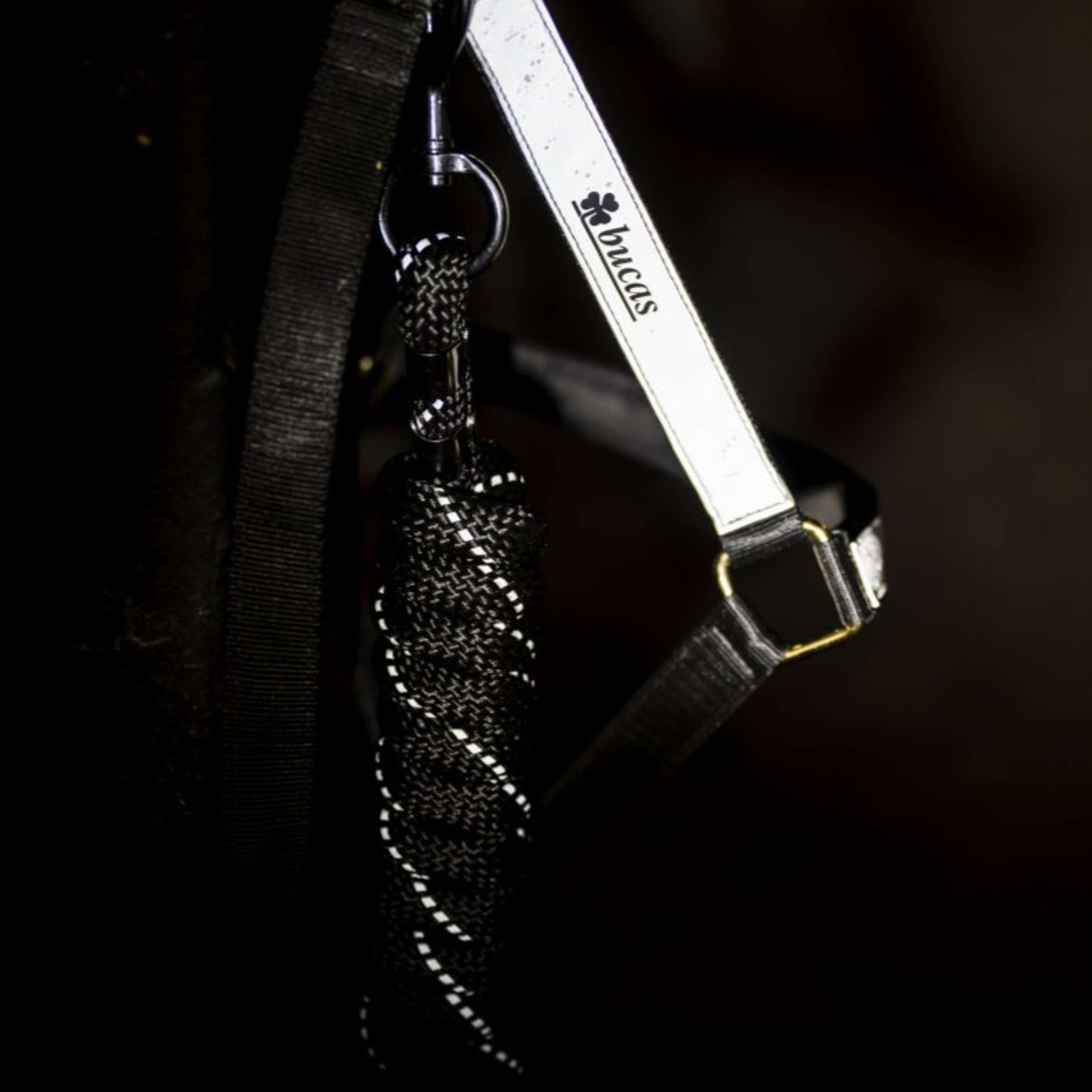 Bucas Corde pour Licol Reflectglow avec Mousqueton Reflectglow